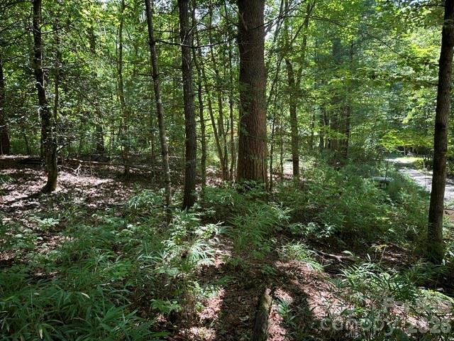 Tbd Blossom Road Property Photo 2