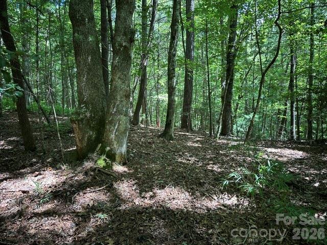 Tbd Blossom Road Property Photo 3