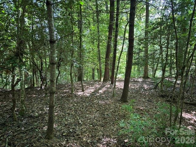 Tbd Blossom Road Property Photo 4