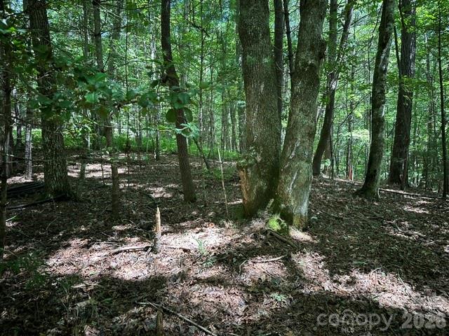 Tbd Blossom Road Property Photo 5