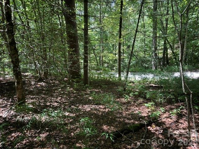 Tbd Blossom Road Property Photo 6
