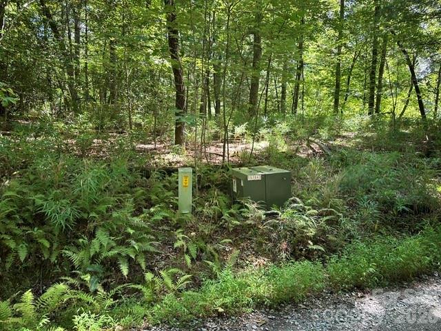 Tbd Blossom Road Property Photo 7