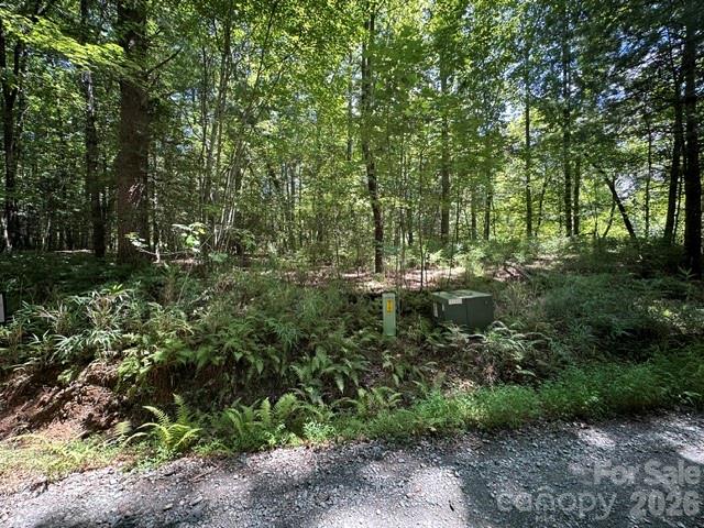 Tbd Blossom Road Property Photo 8