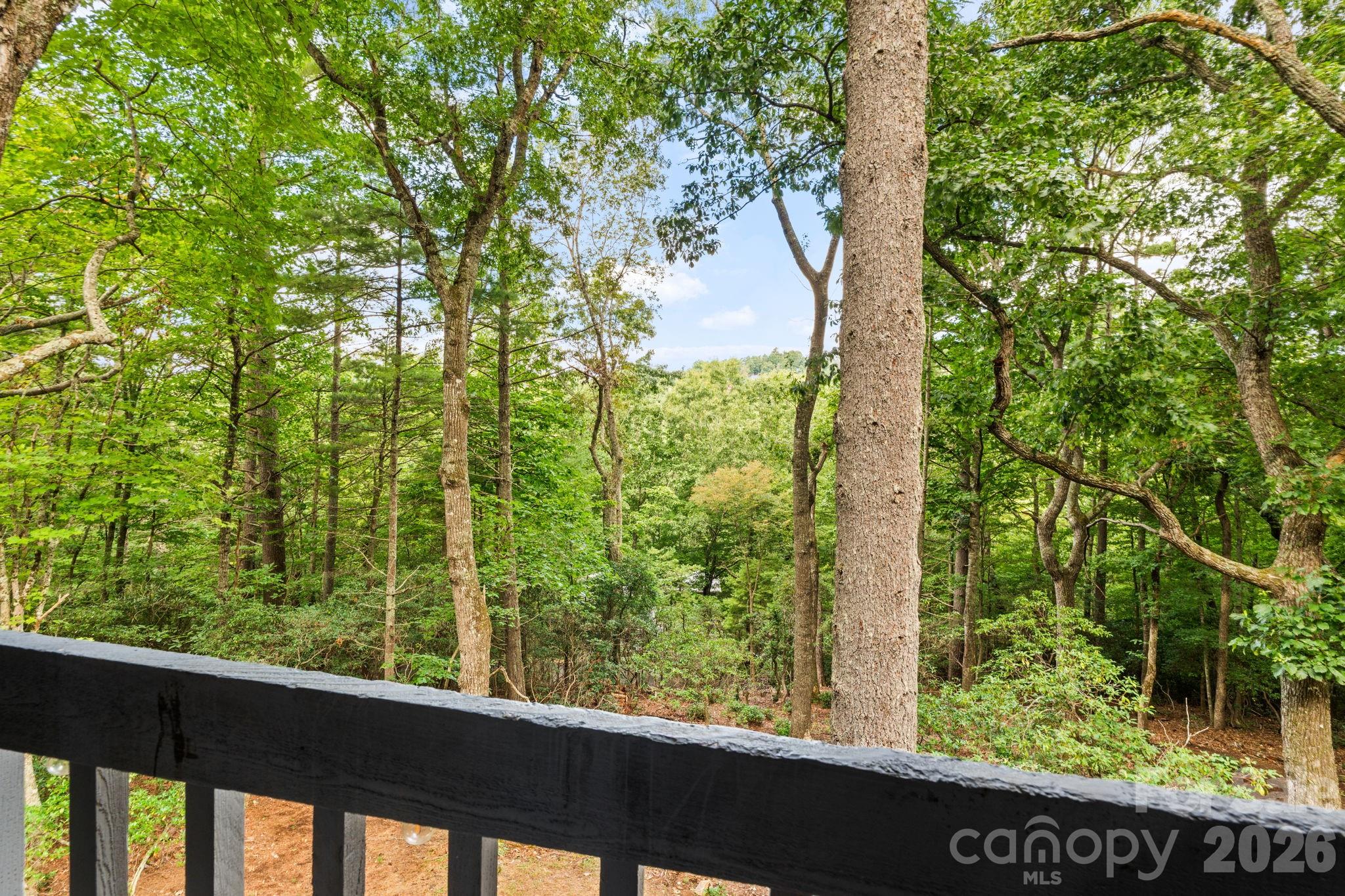 383 Bear Ridge Trail Property Photo 28