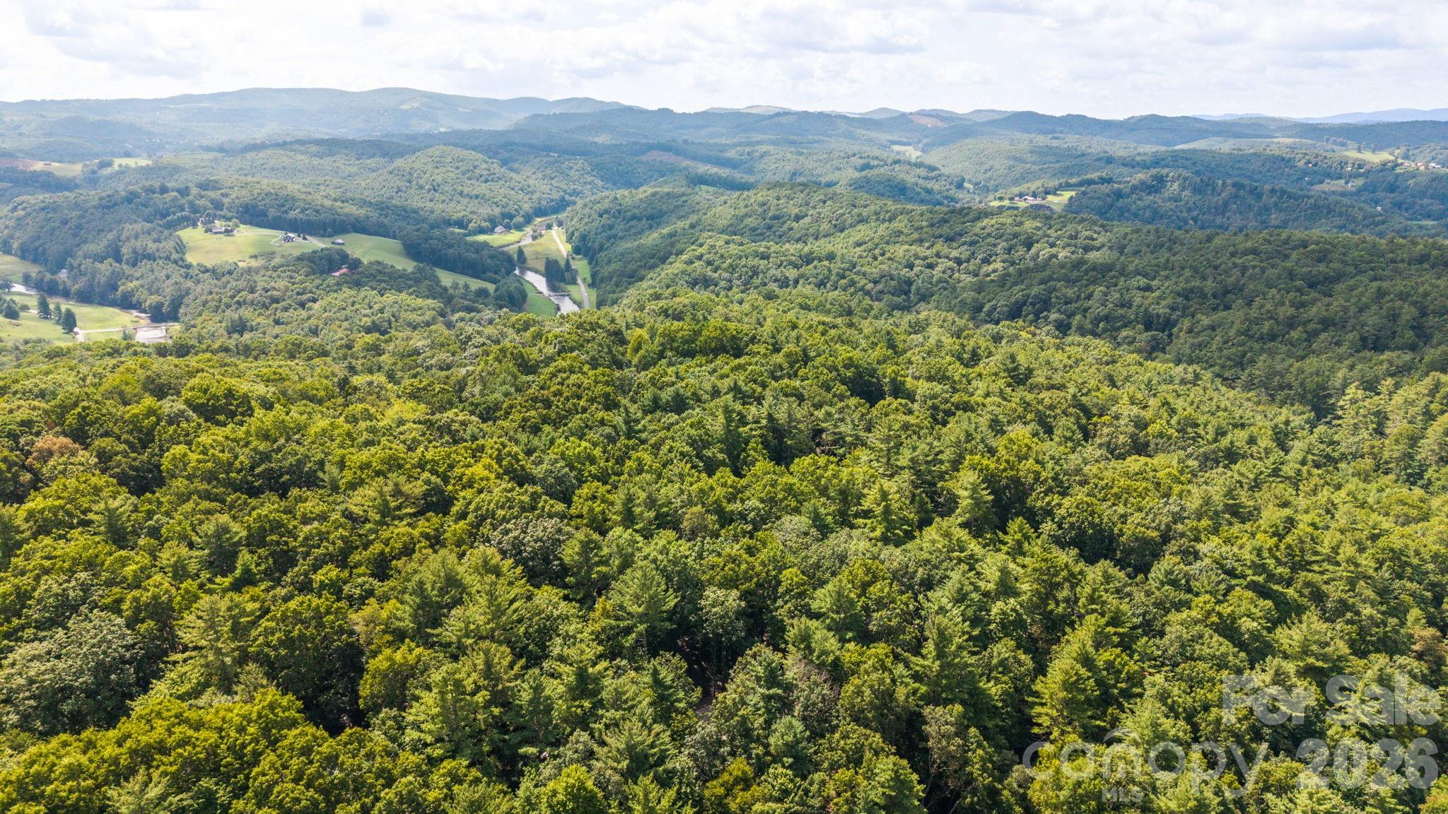 383 Bear Ridge Trail Property Photo 46