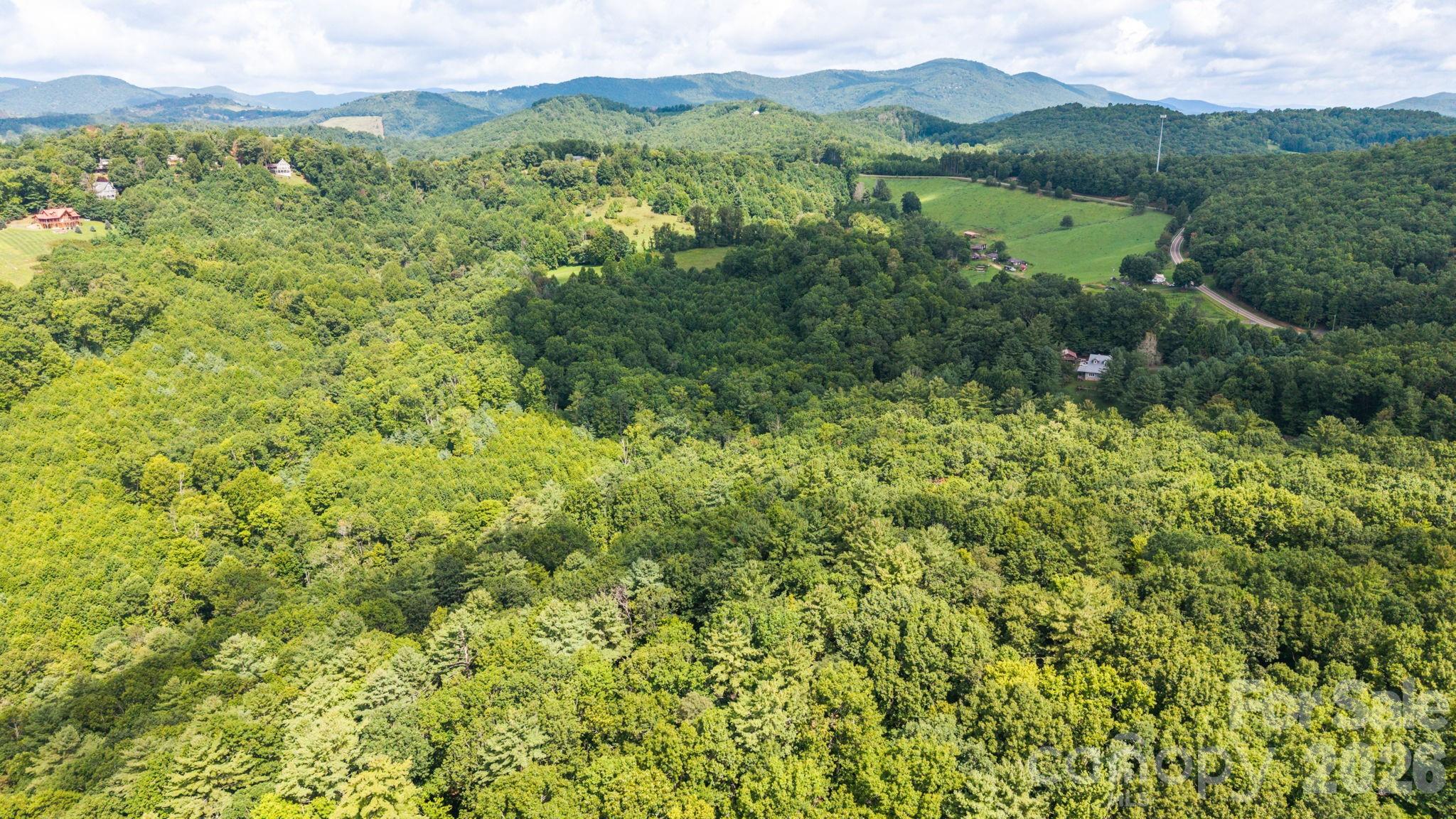 383 Bear Ridge Trail Property Photo 47