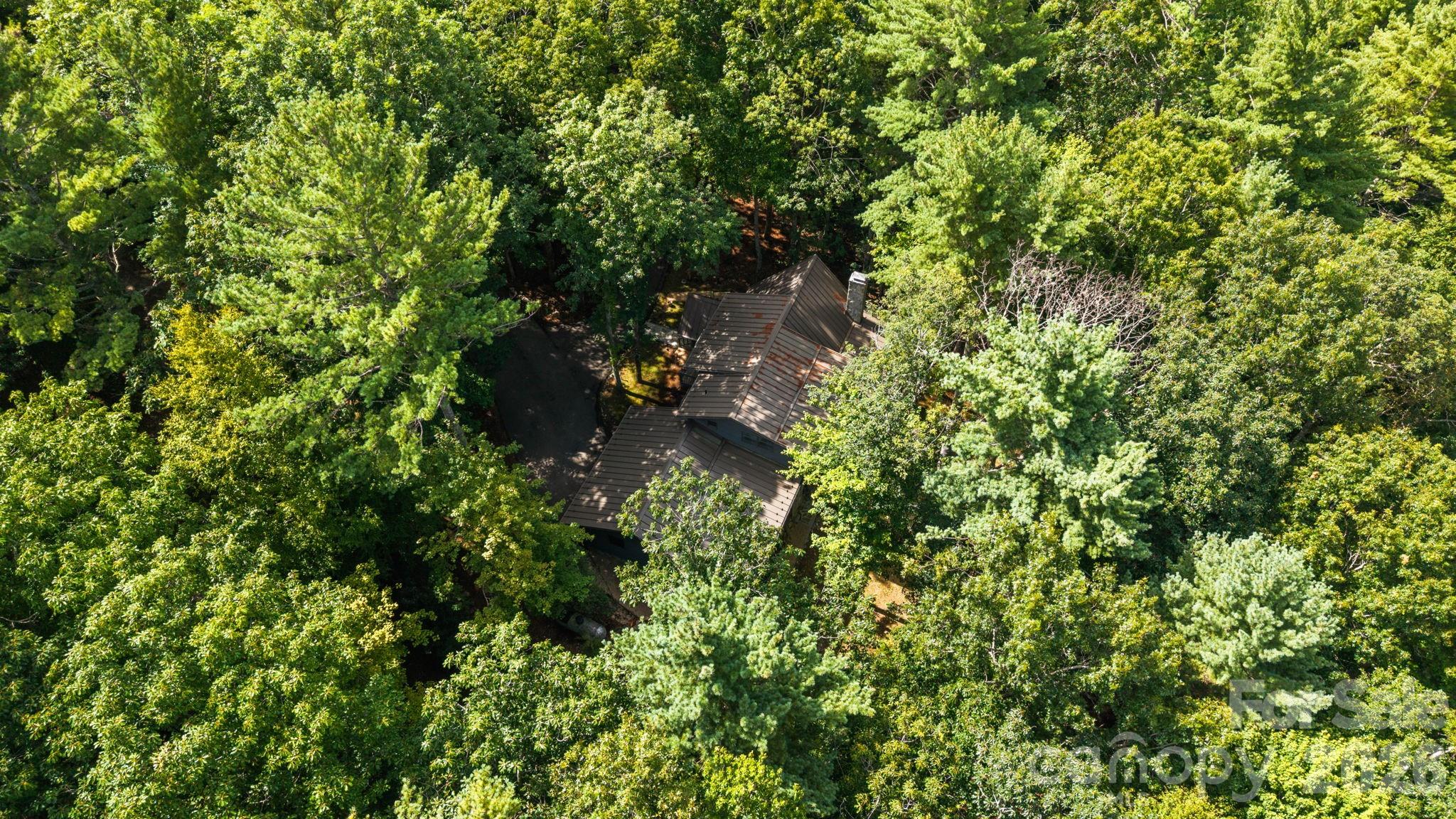 383 Bear Ridge Trail Property Photo 48