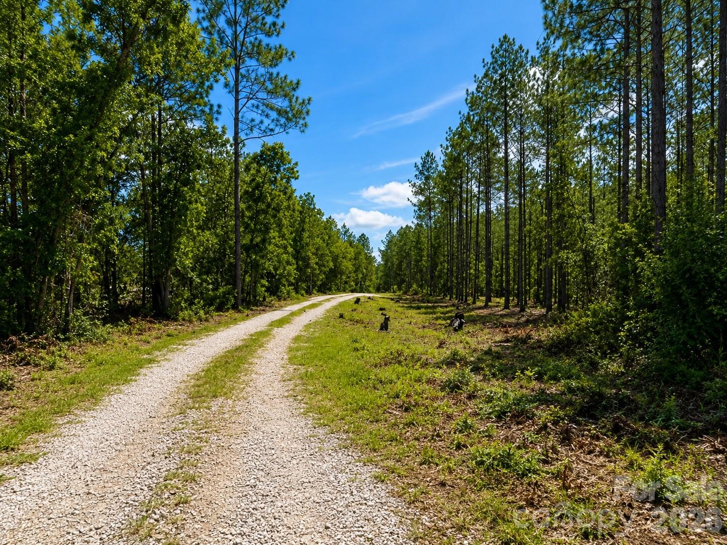 3203 Landfill Road Property Photo 8
