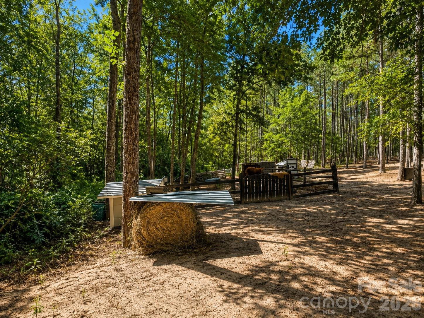 3203 Landfill Road Property Photo 15