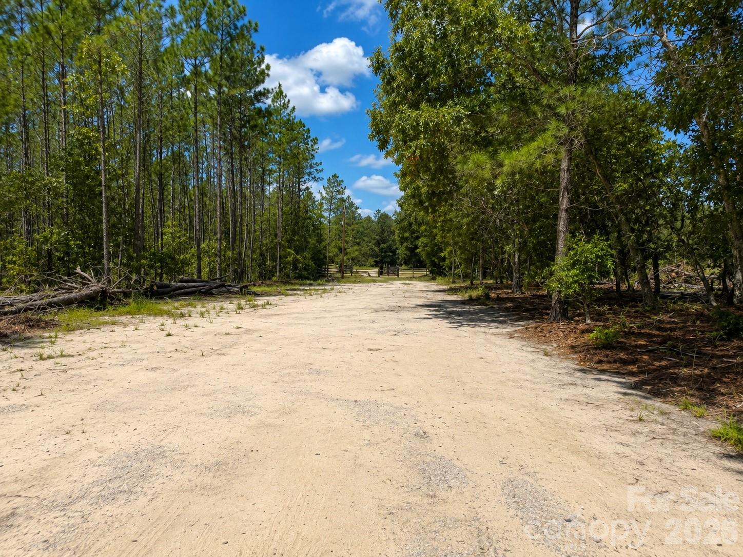 3203 Landfill Road Property Photo 31