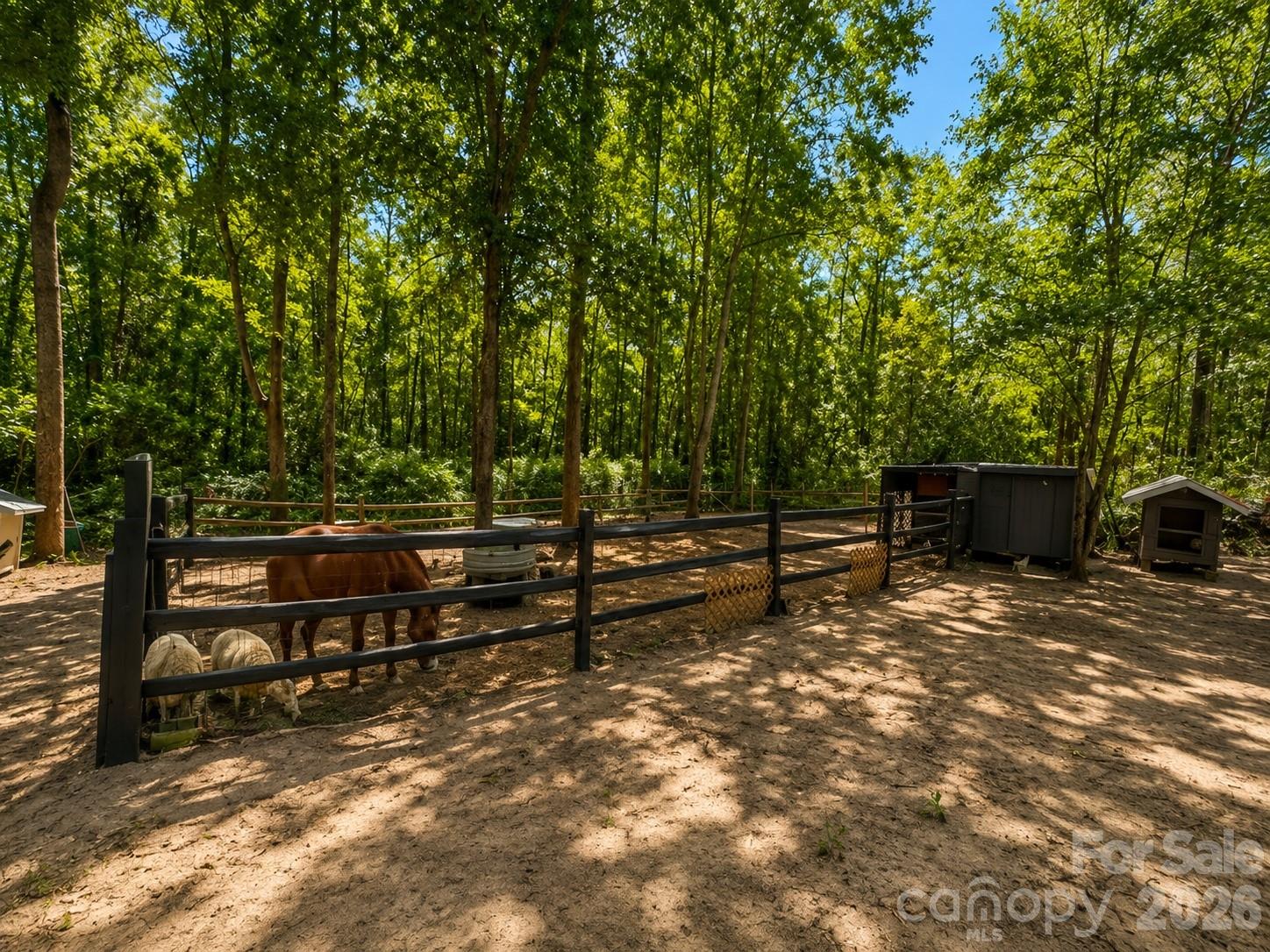 3203 Landfill Road Property Photo 33