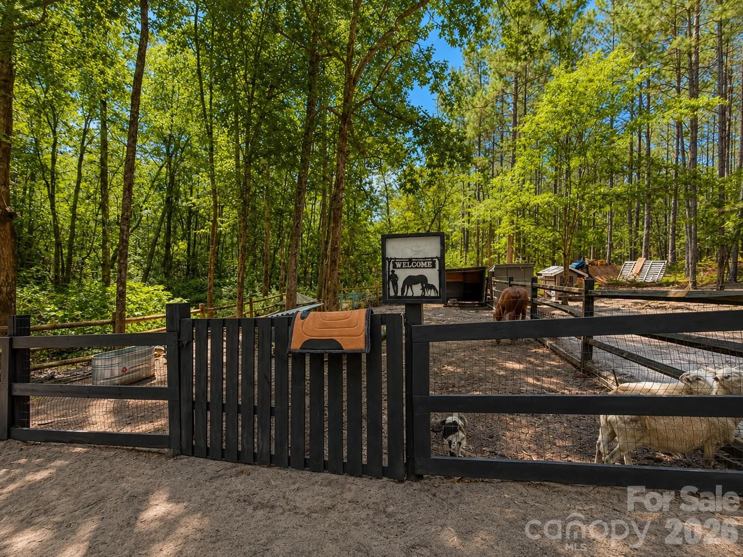 3203 Landfill Road Property Photo 38