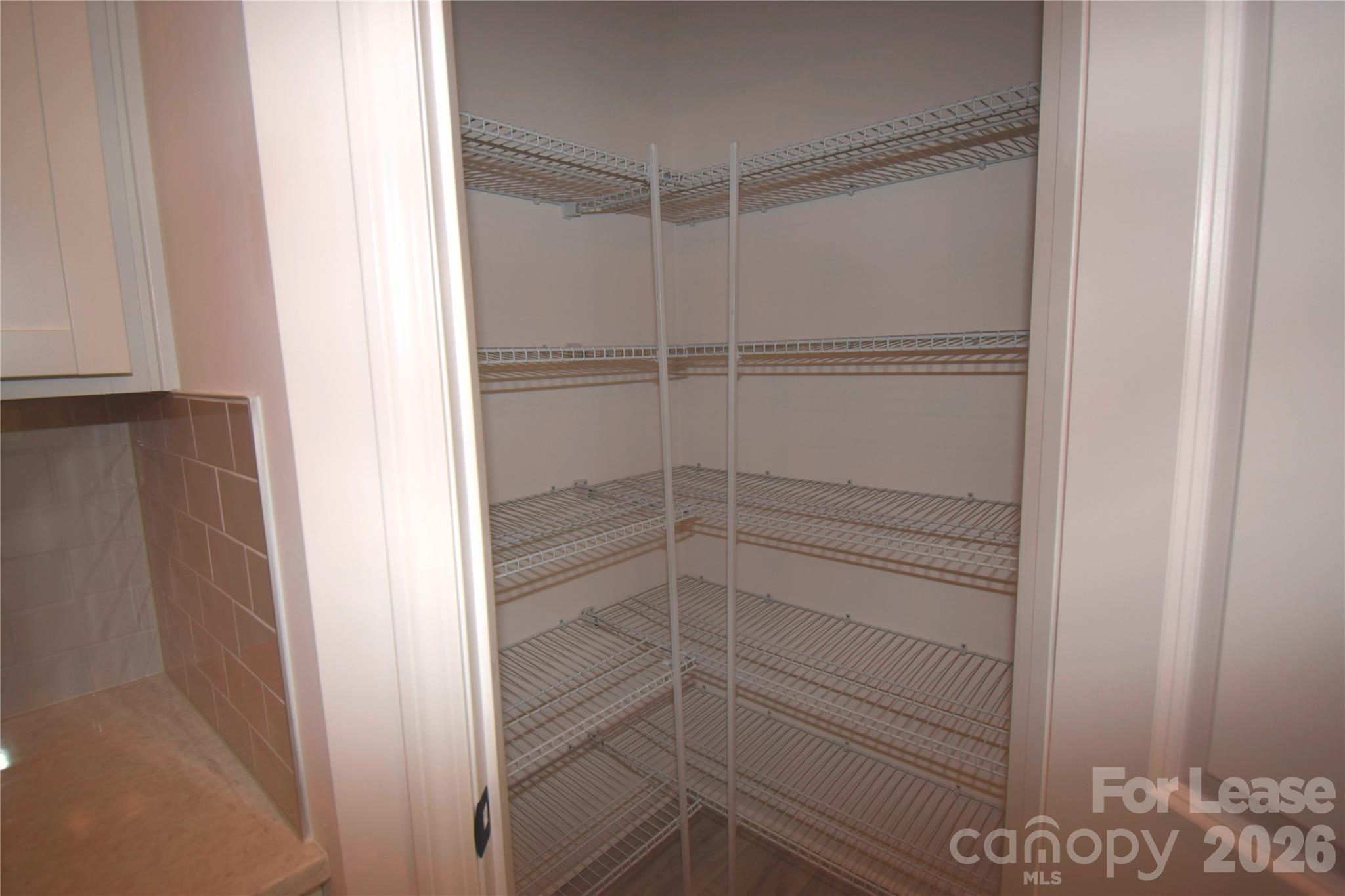 11816 Basking Drive Property Photo 5