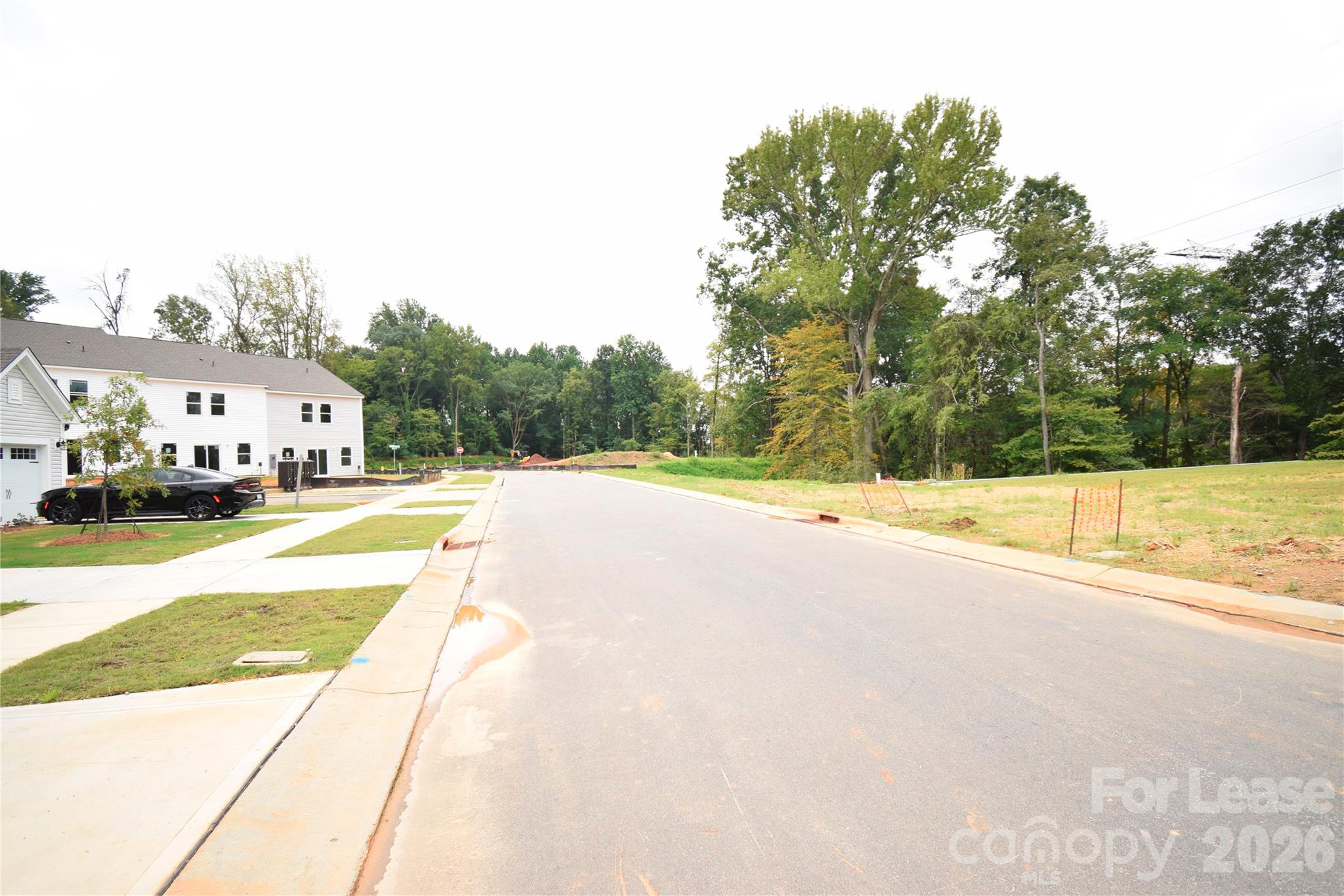 11816 Basking Drive Property Photo 18
