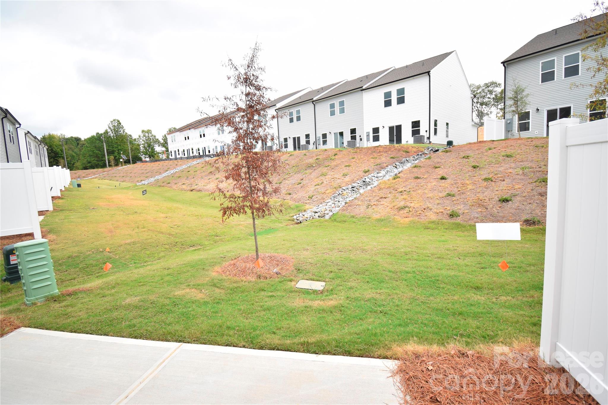 11816 Basking Drive Property Photo 20