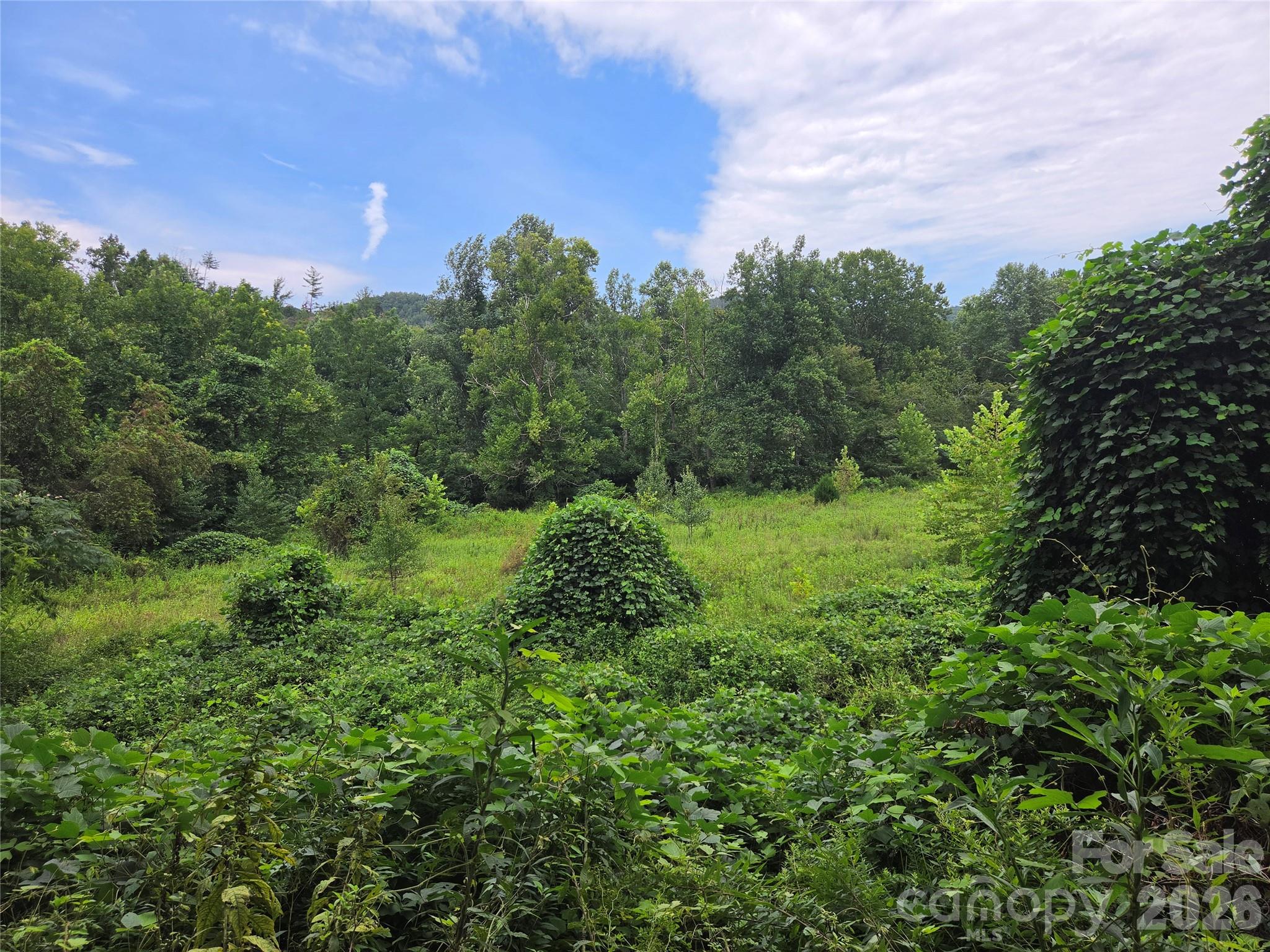 6059 Mount Zion Road Property Photo 3