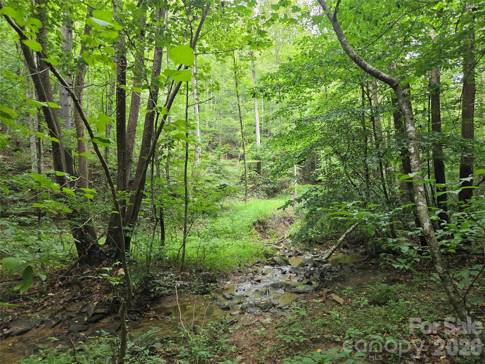 6059 Mount Zion Road Property Photo 4