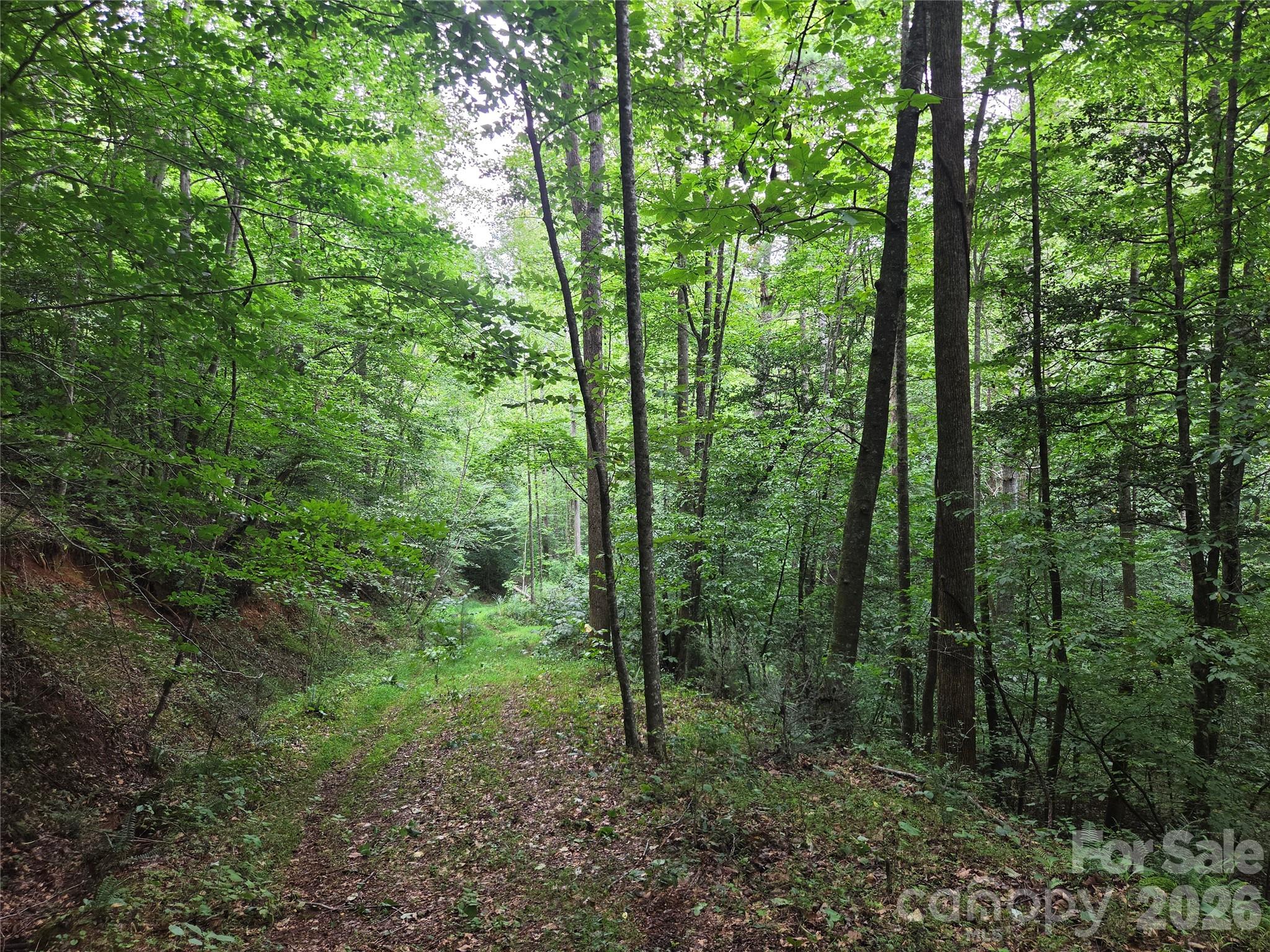 6059 Mount Zion Road Property Photo 5
