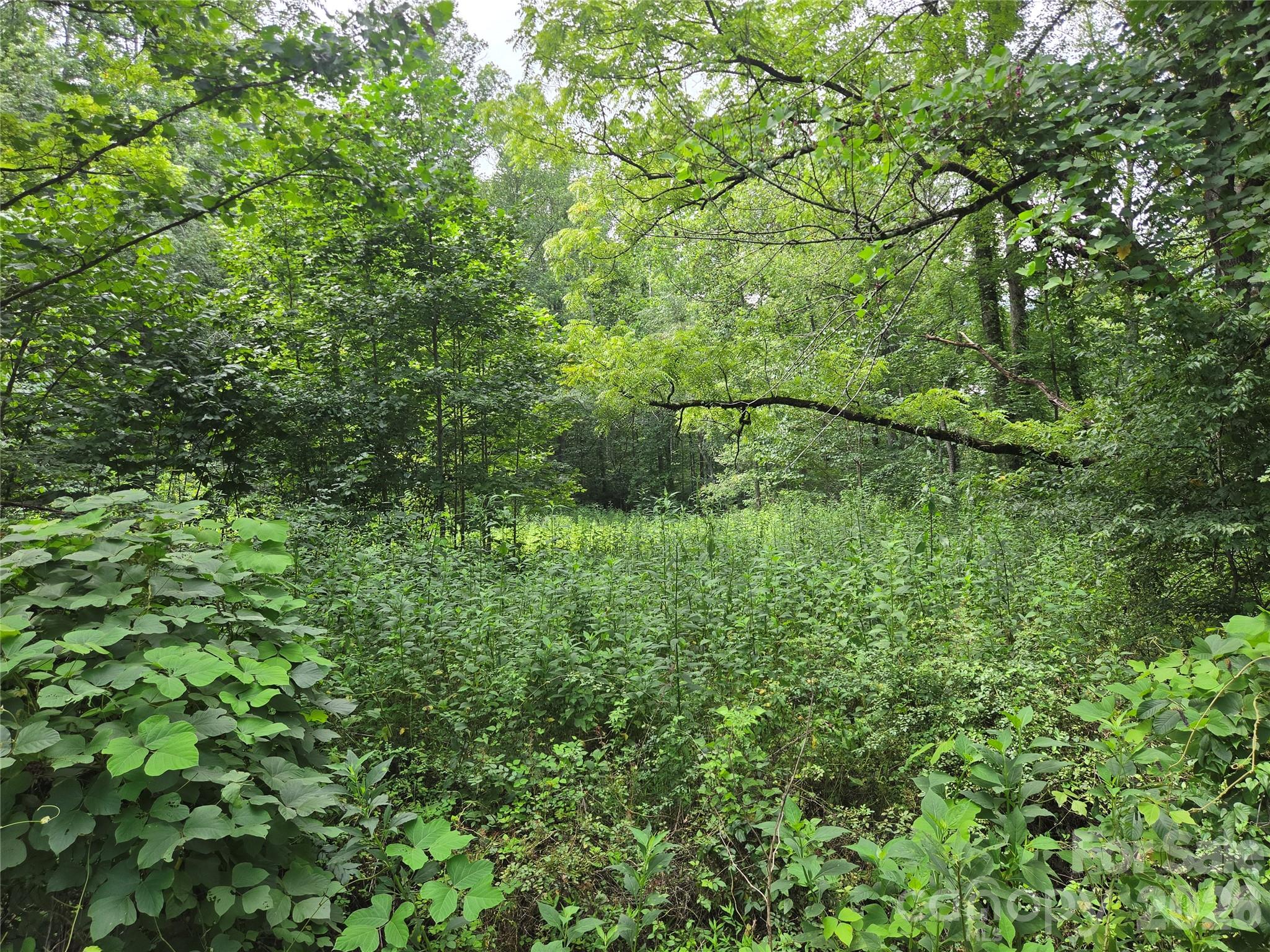 6059 Mount Zion Road Property Photo 16