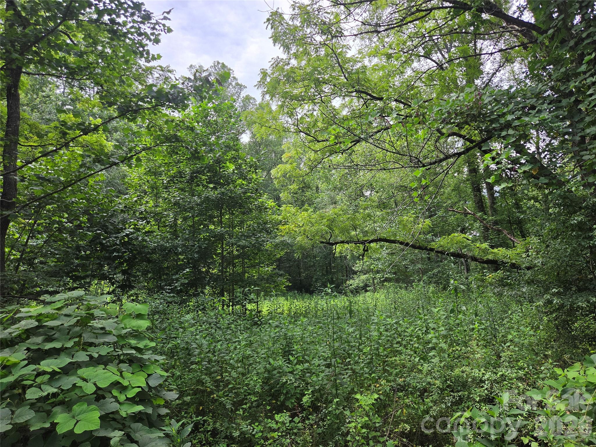 6059 Mount Zion Road Property Photo 17