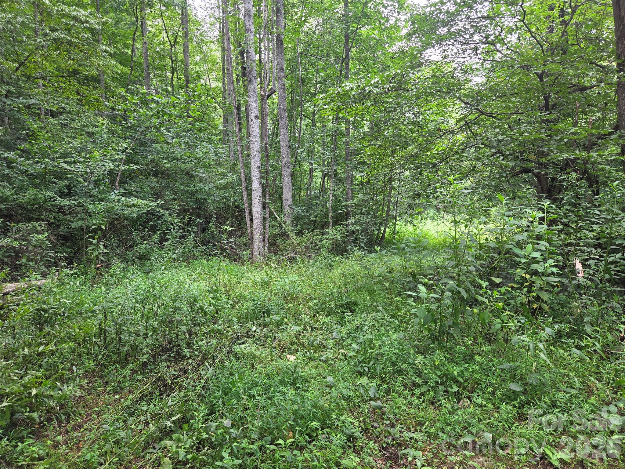 6059 Mount Zion Road Property Photo 26