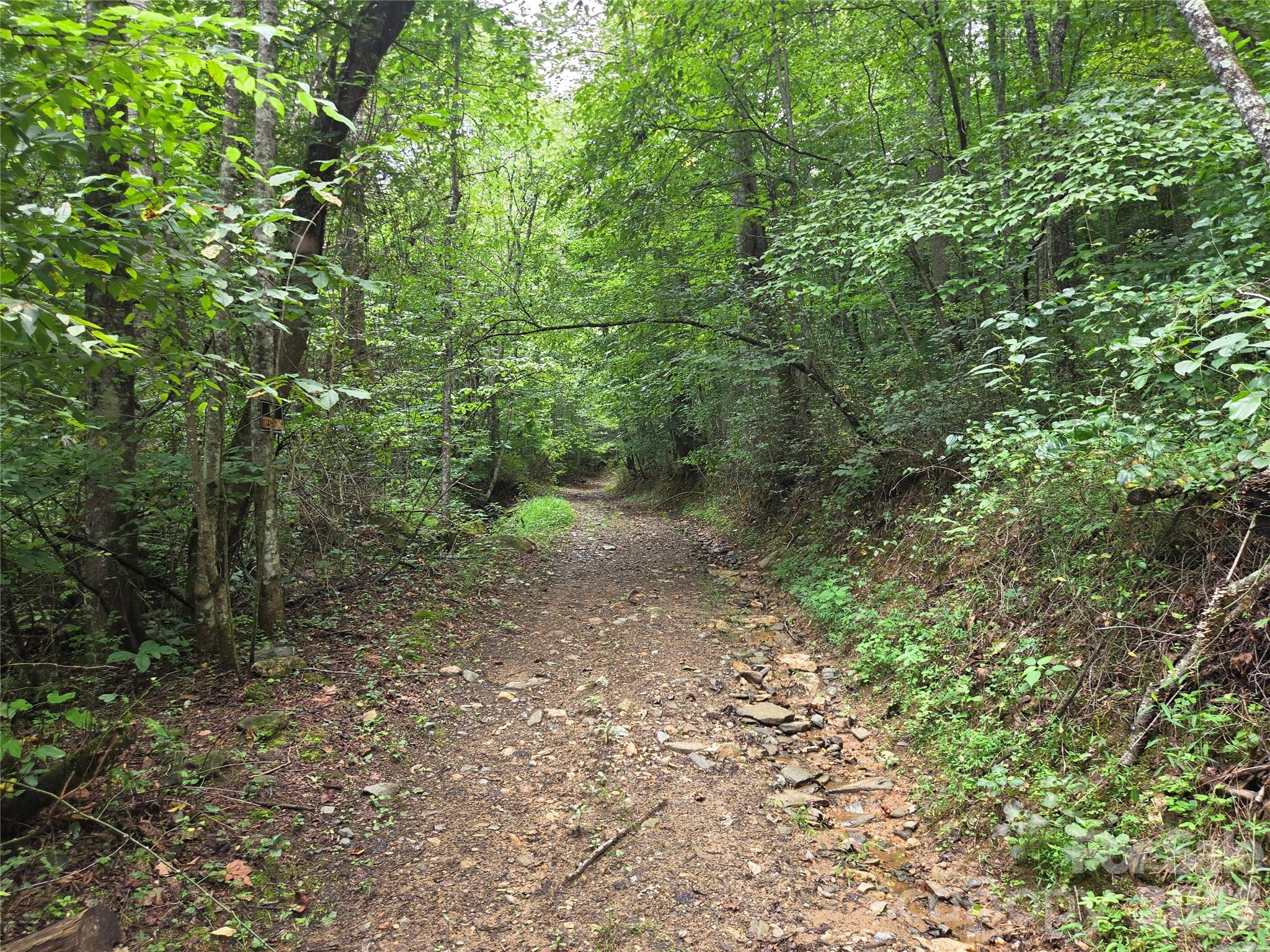 6059 Mount Zion Road Property Photo 28