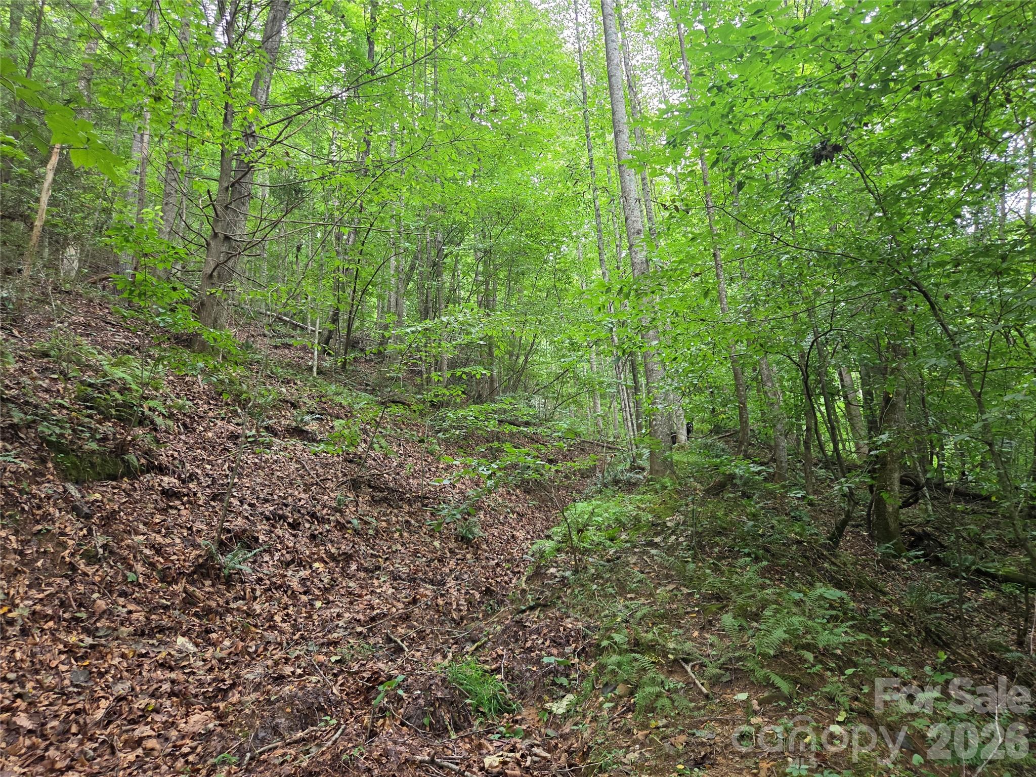 6059 Mount Zion Road Property Photo 31