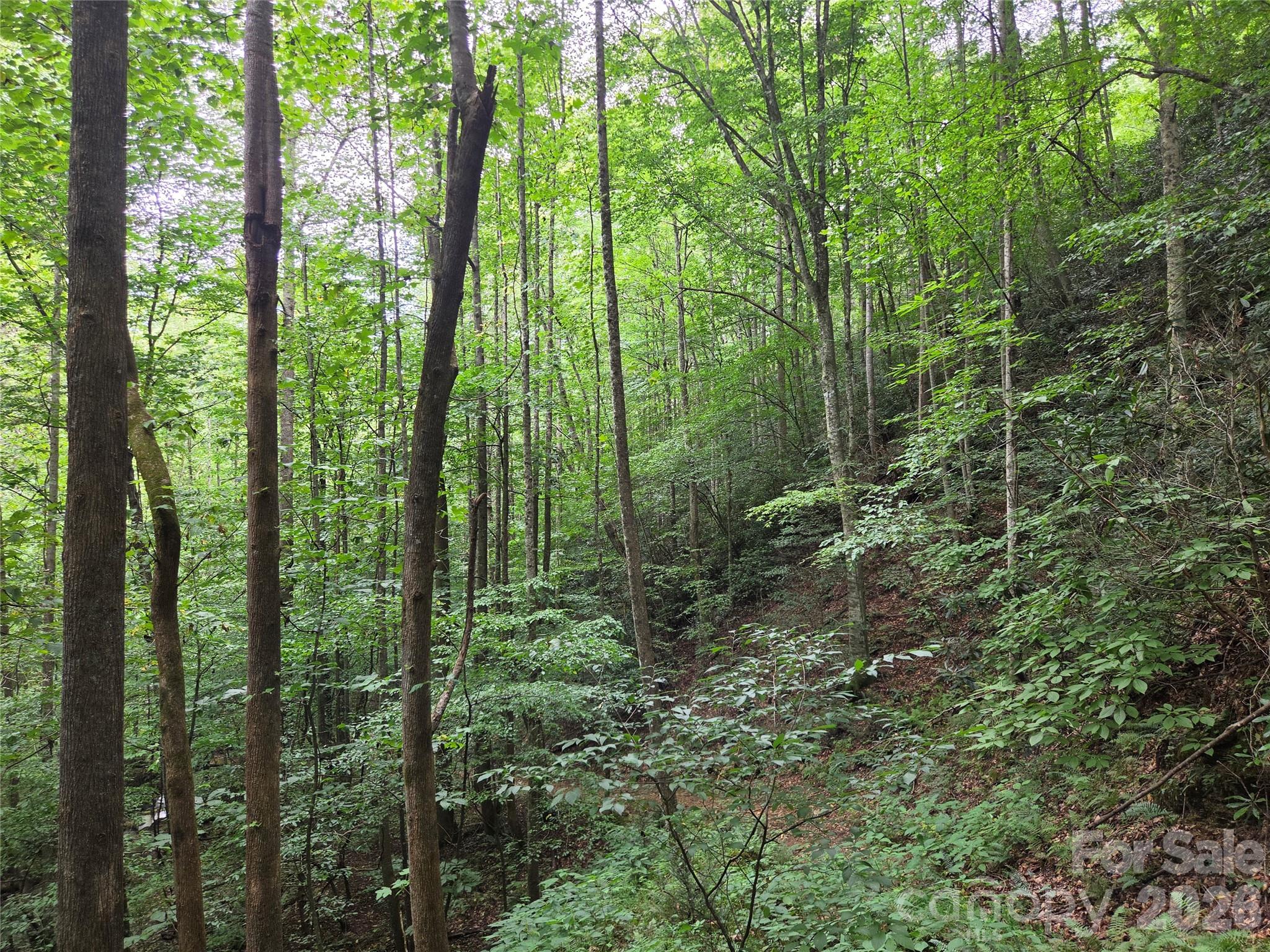 6059 Mount Zion Road Property Photo 32