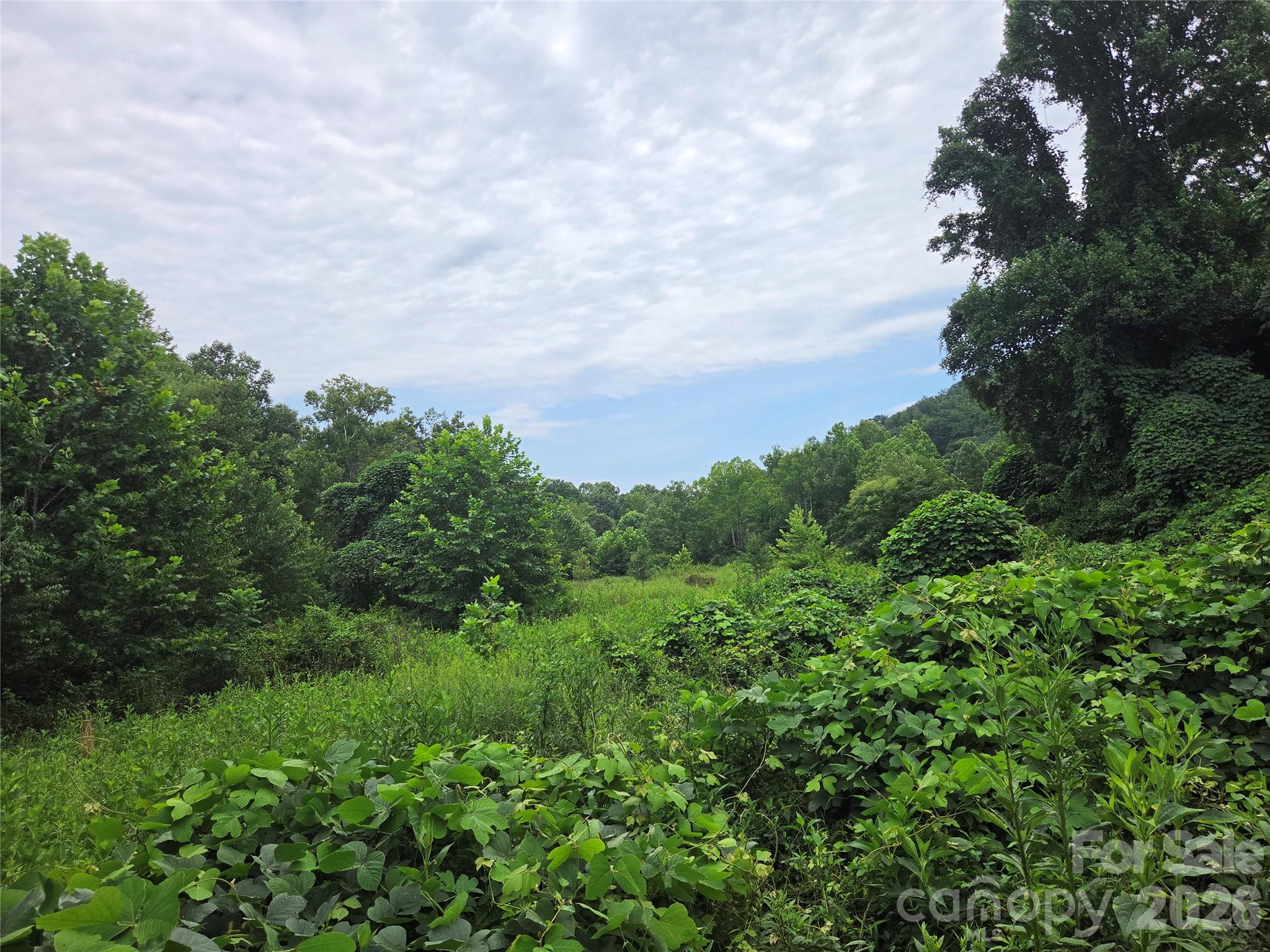 6059 Mount Zion Road Property Photo 33