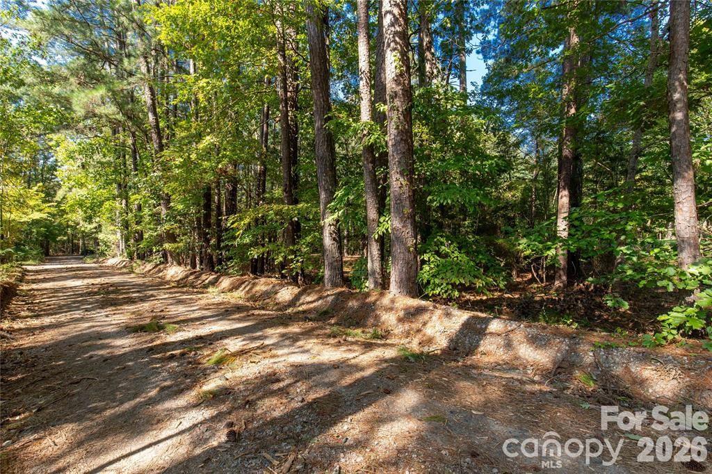 0000 Saddle Road Property Photo 1