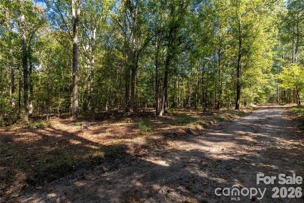 0000 Saddle Road Property Photo 2