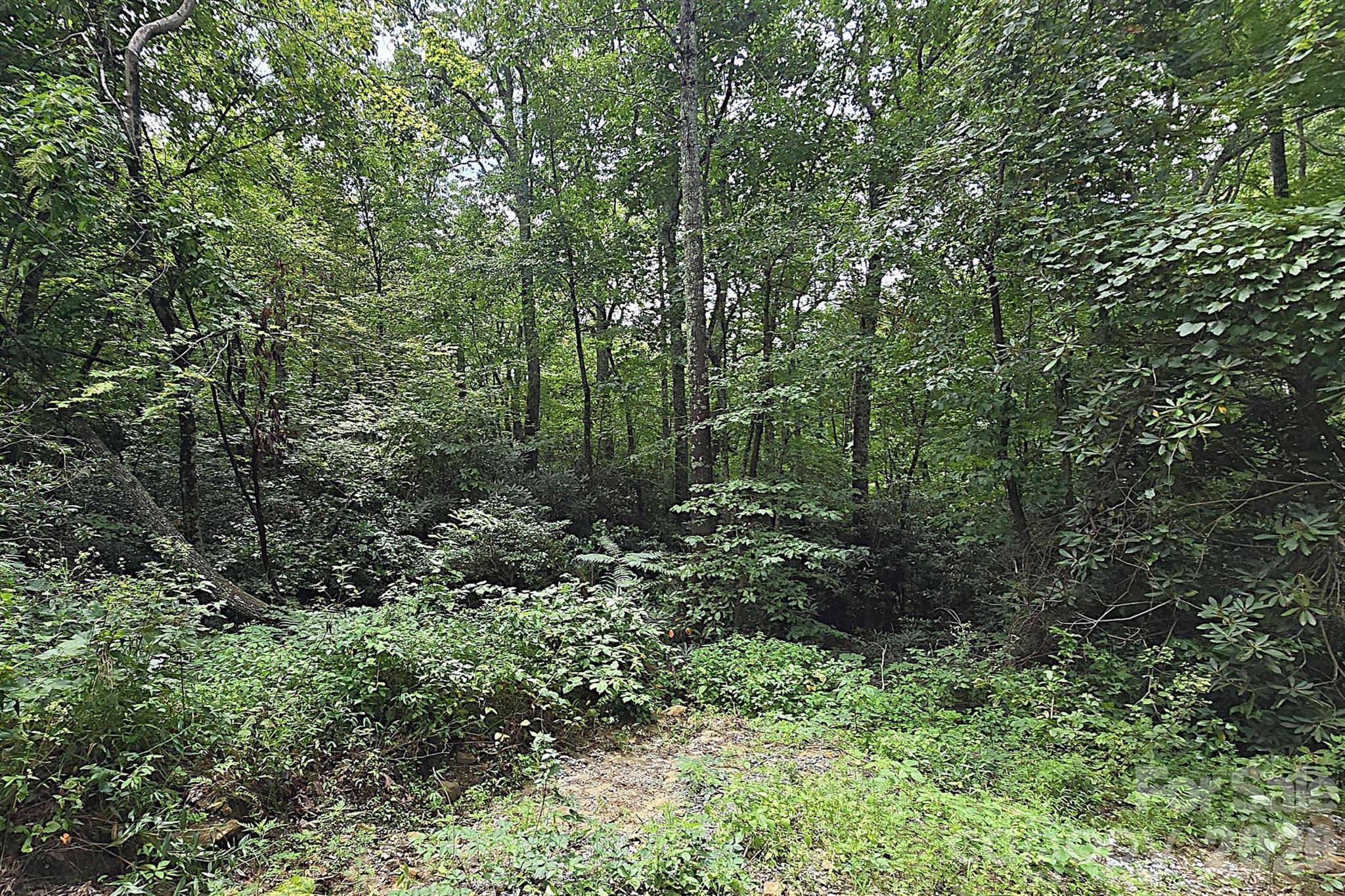 86 Pine Ridge Road Property Photo 30