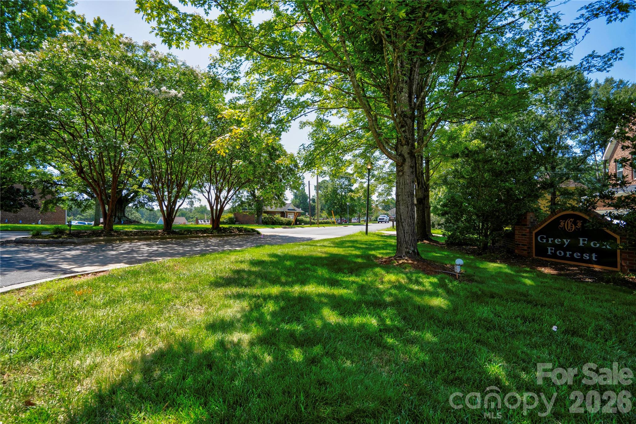 305 Firefly Path Property Photo 2