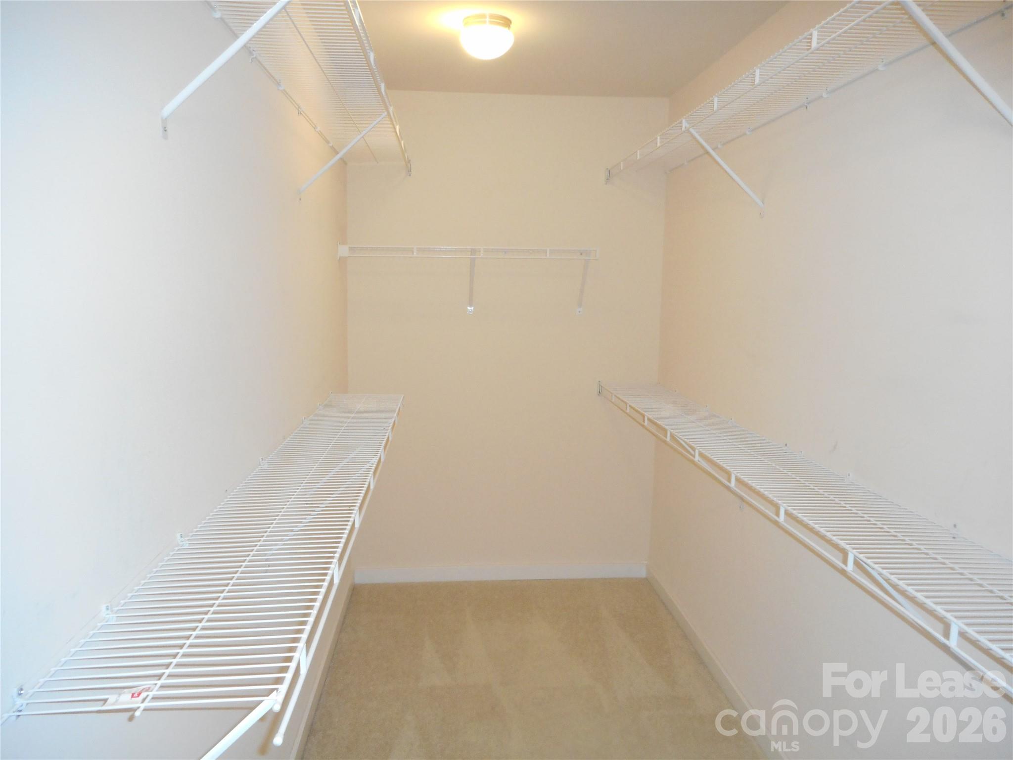 7156 Pitzer Drive Property Photo 21