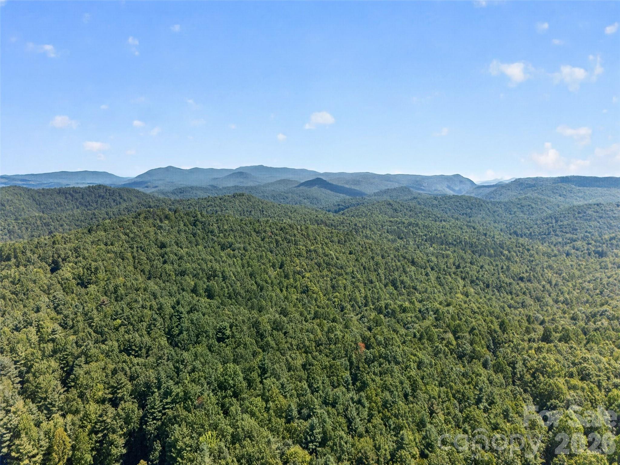 1900 Solomon Jones Road Property Photo 31