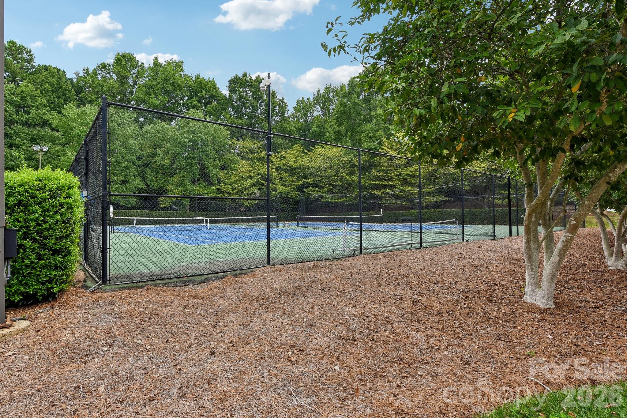 4123 Mountain Cove Drive Property Photo 41