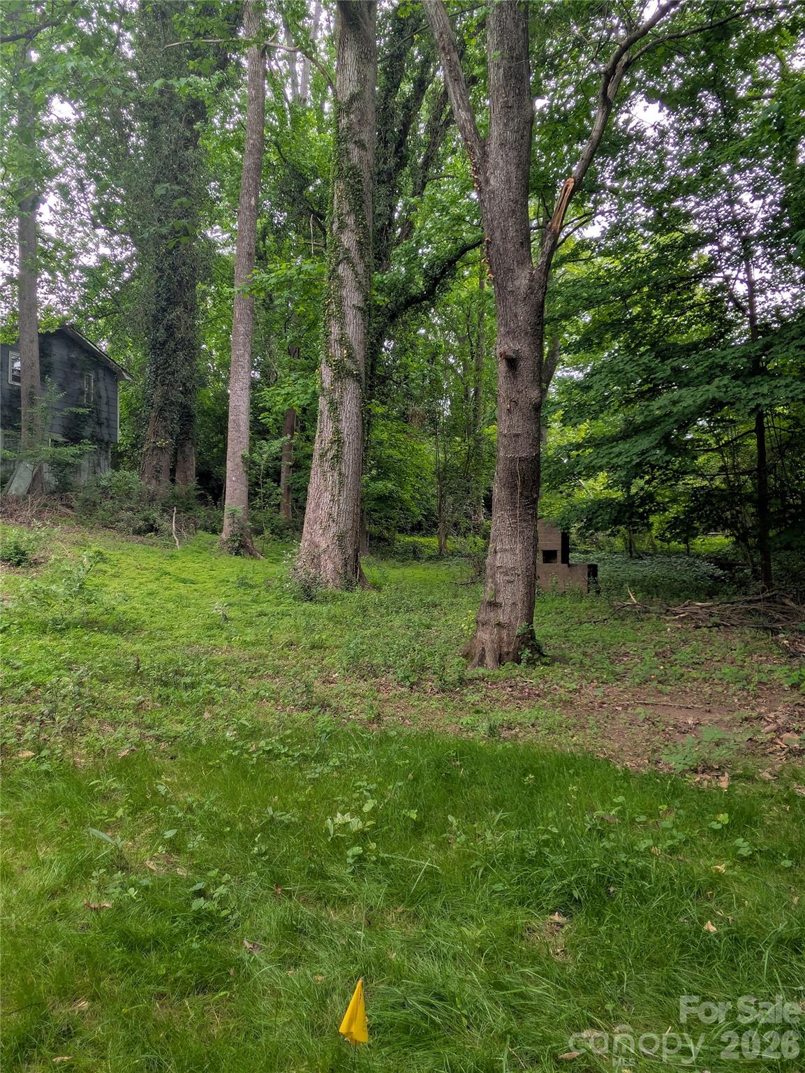 1002 Hemlock Drive Property Photo 42
