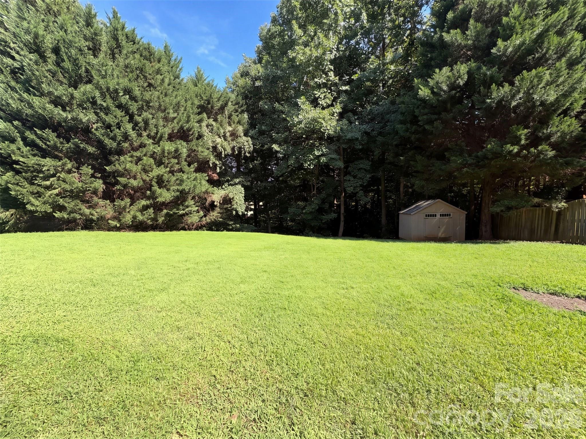3106 Arklow Road Property Photo 23