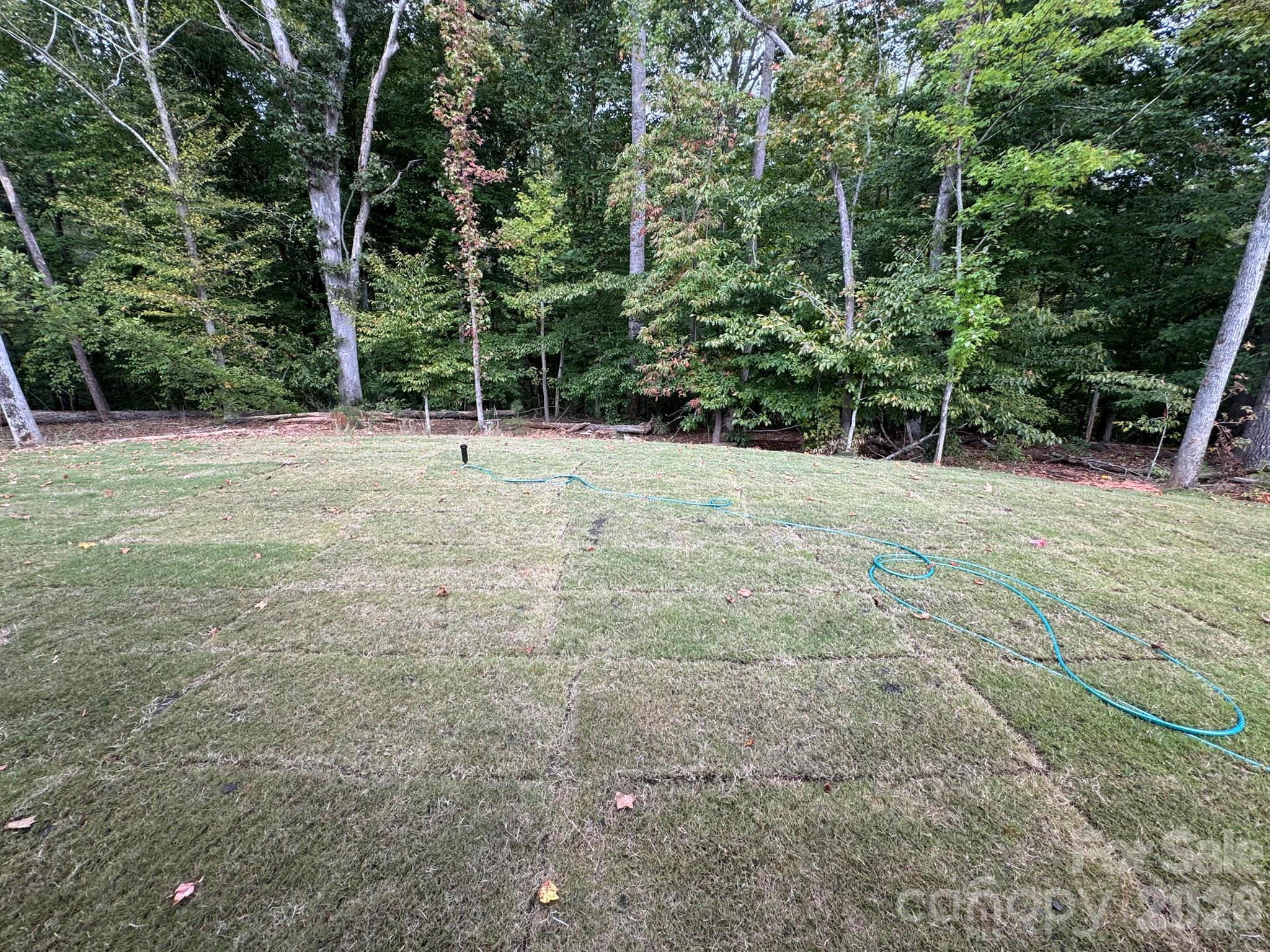 5087 Mclaughlin Loop Property Photo 13