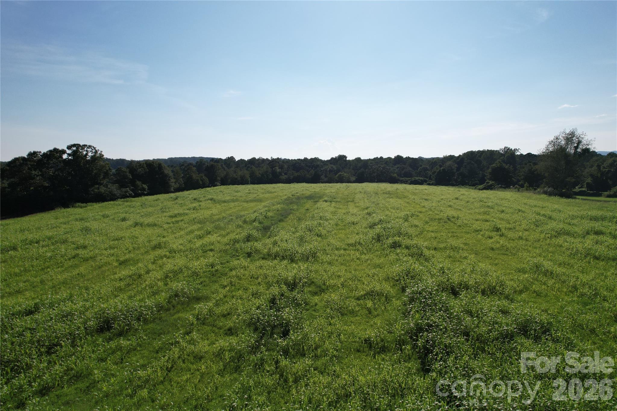 00 Crowder Ridge Road Property Photo 4