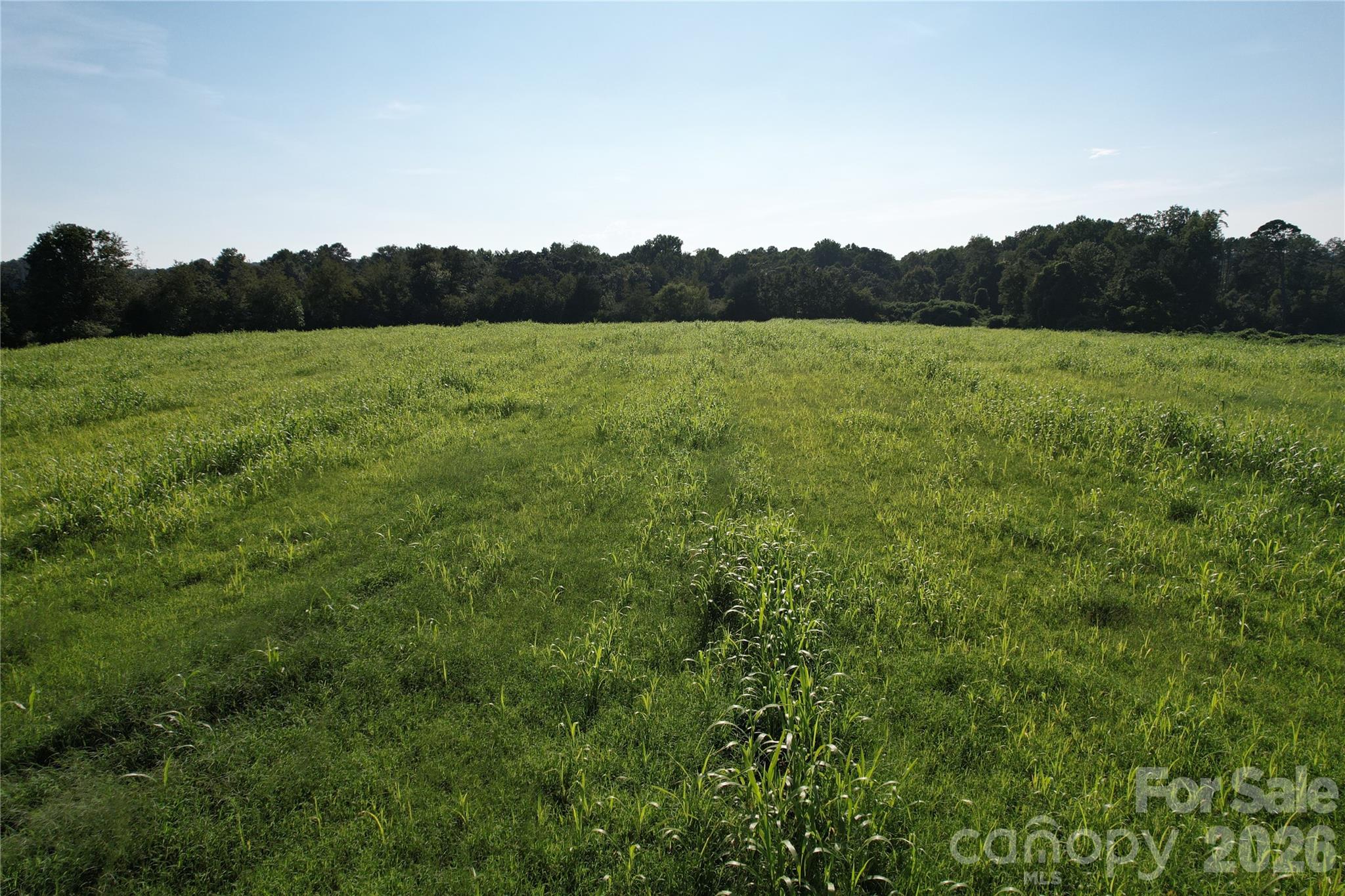 00 Crowder Ridge Road Property Photo 6