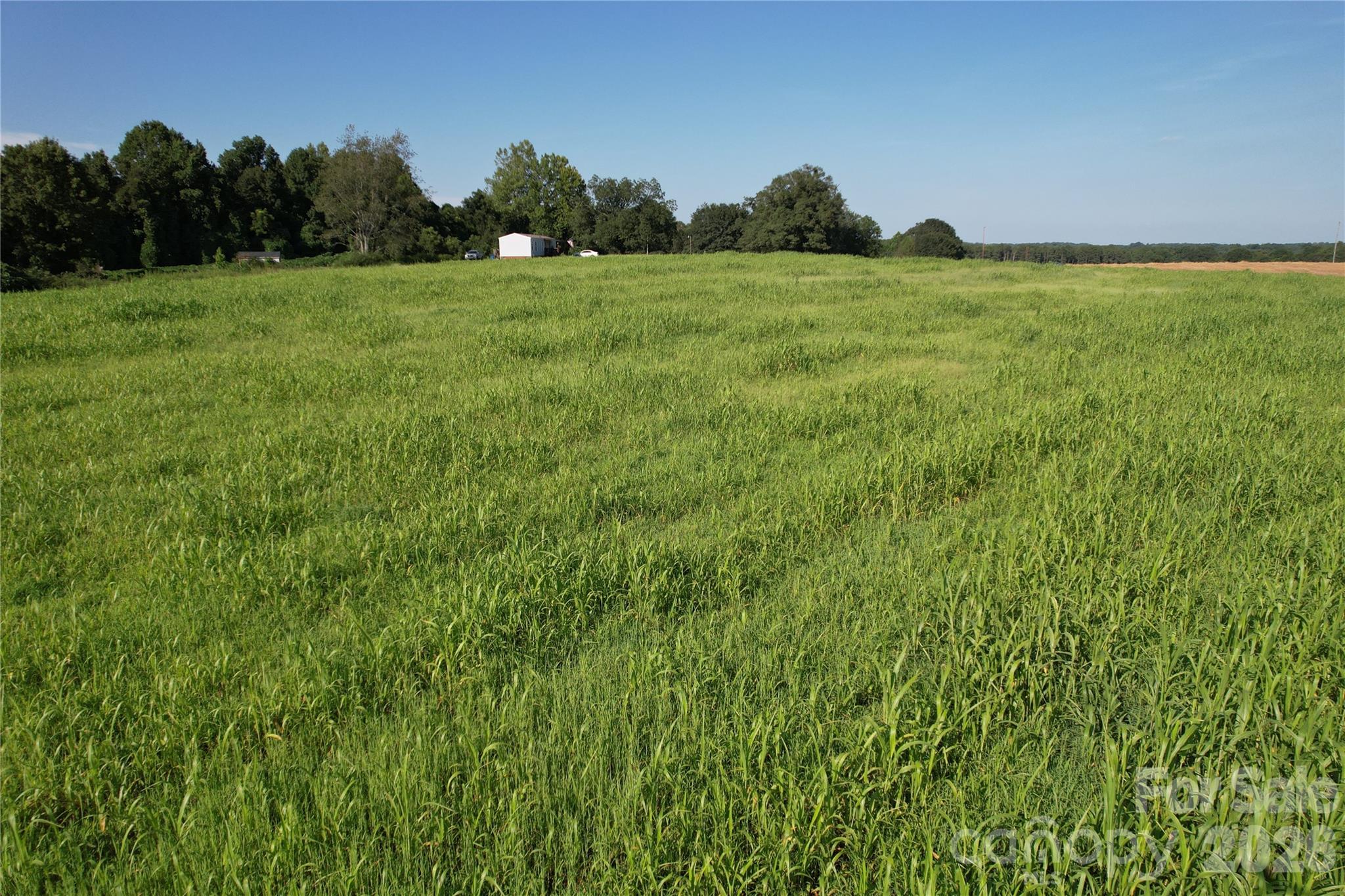 00 Crowder Ridge Road Property Photo 8