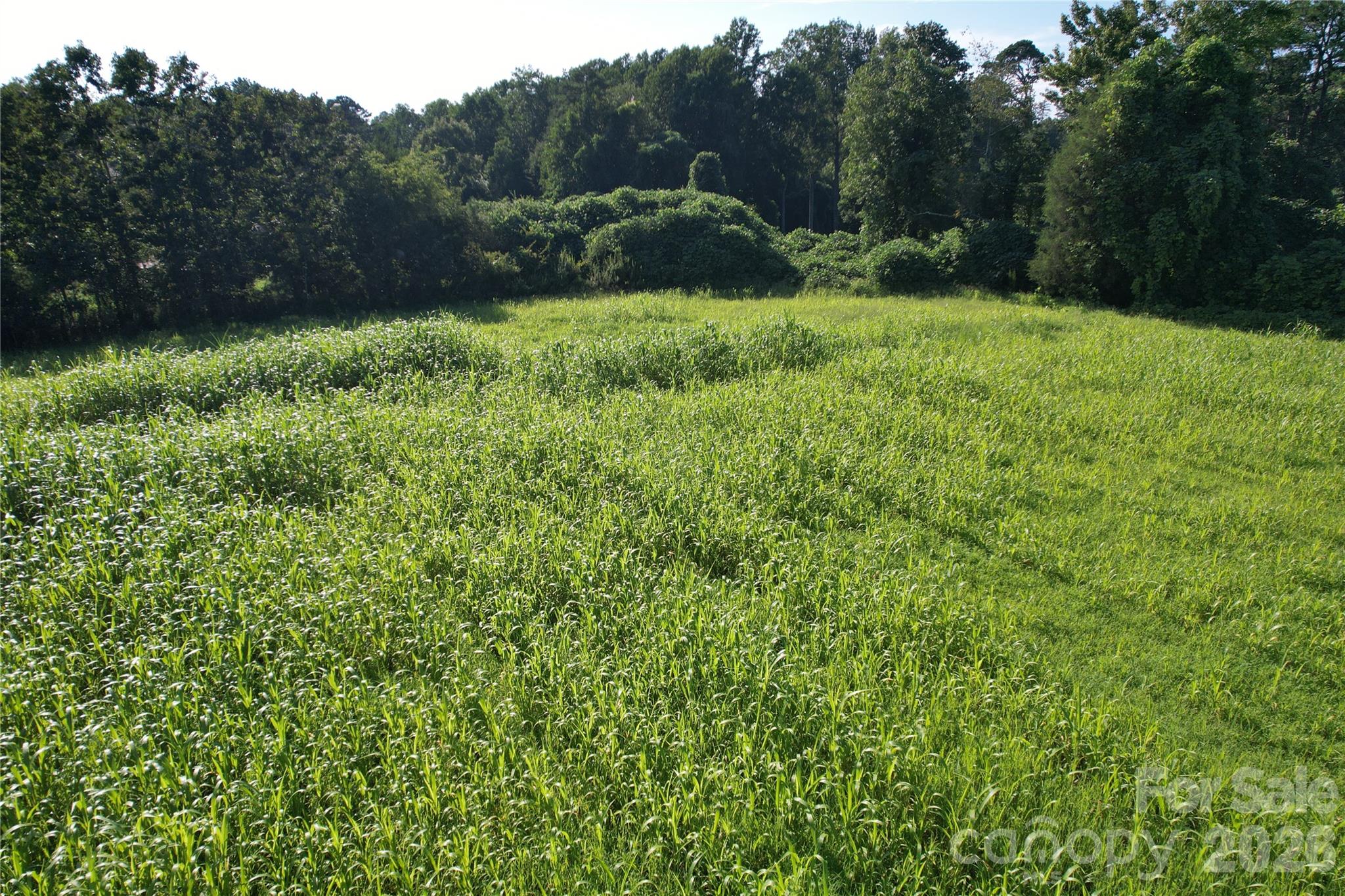 00 Crowder Ridge Road Property Photo 11