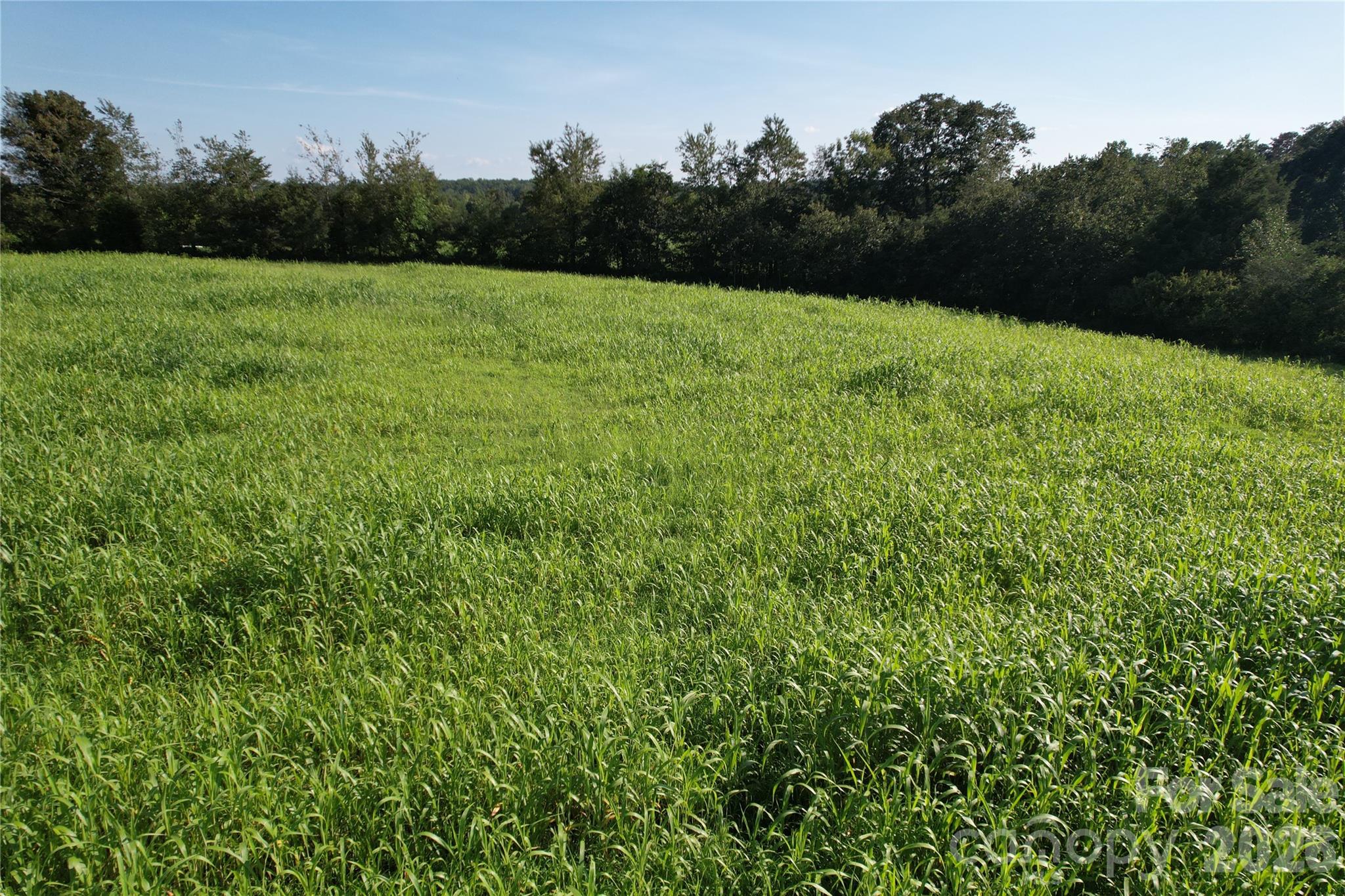 00 Crowder Ridge Road Property Photo 12