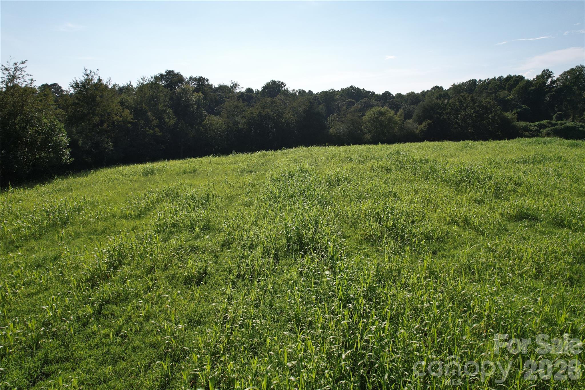 00 Crowder Ridge Road Property Photo 13