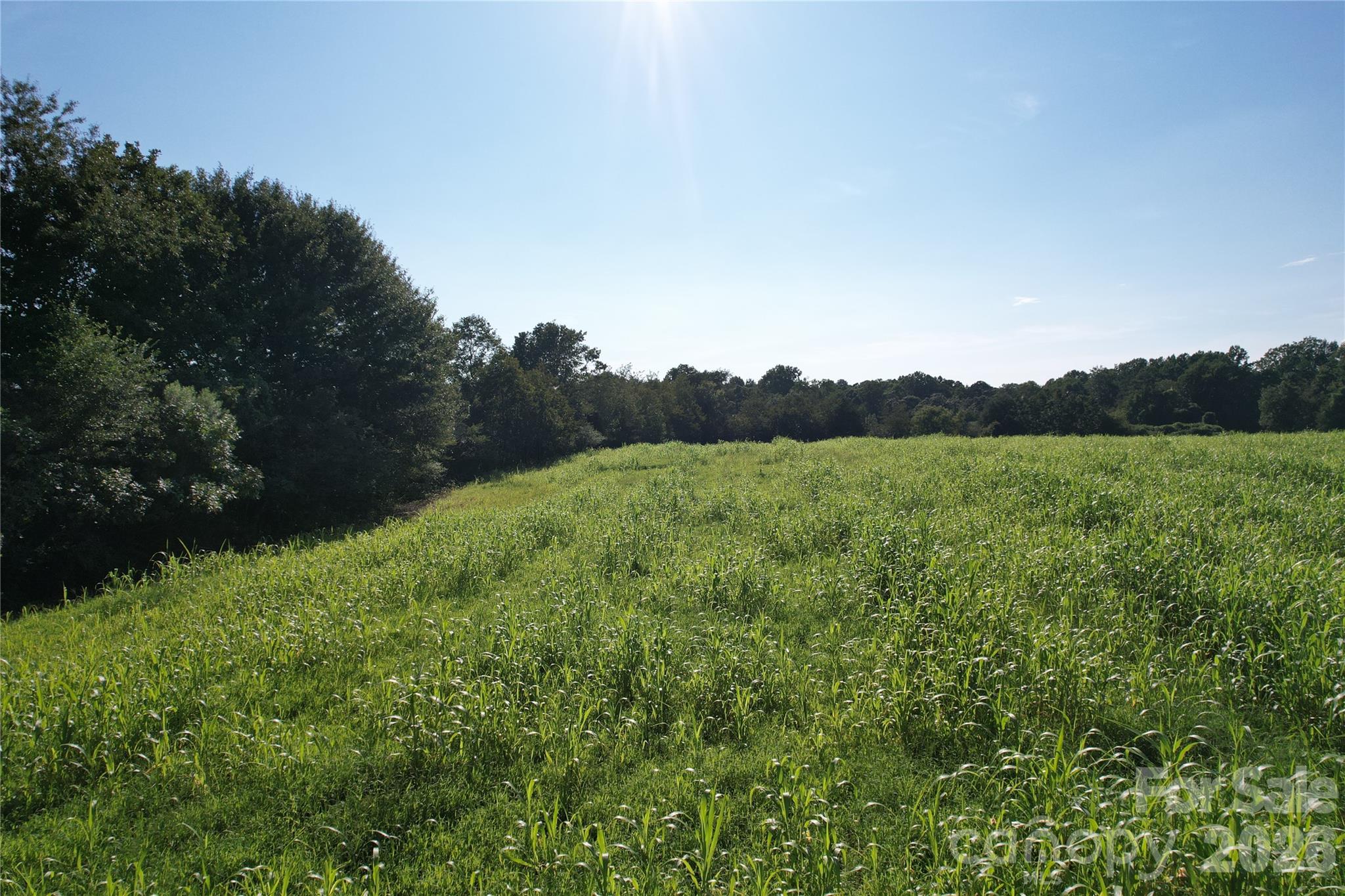 00 Crowder Ridge Road Property Photo 14