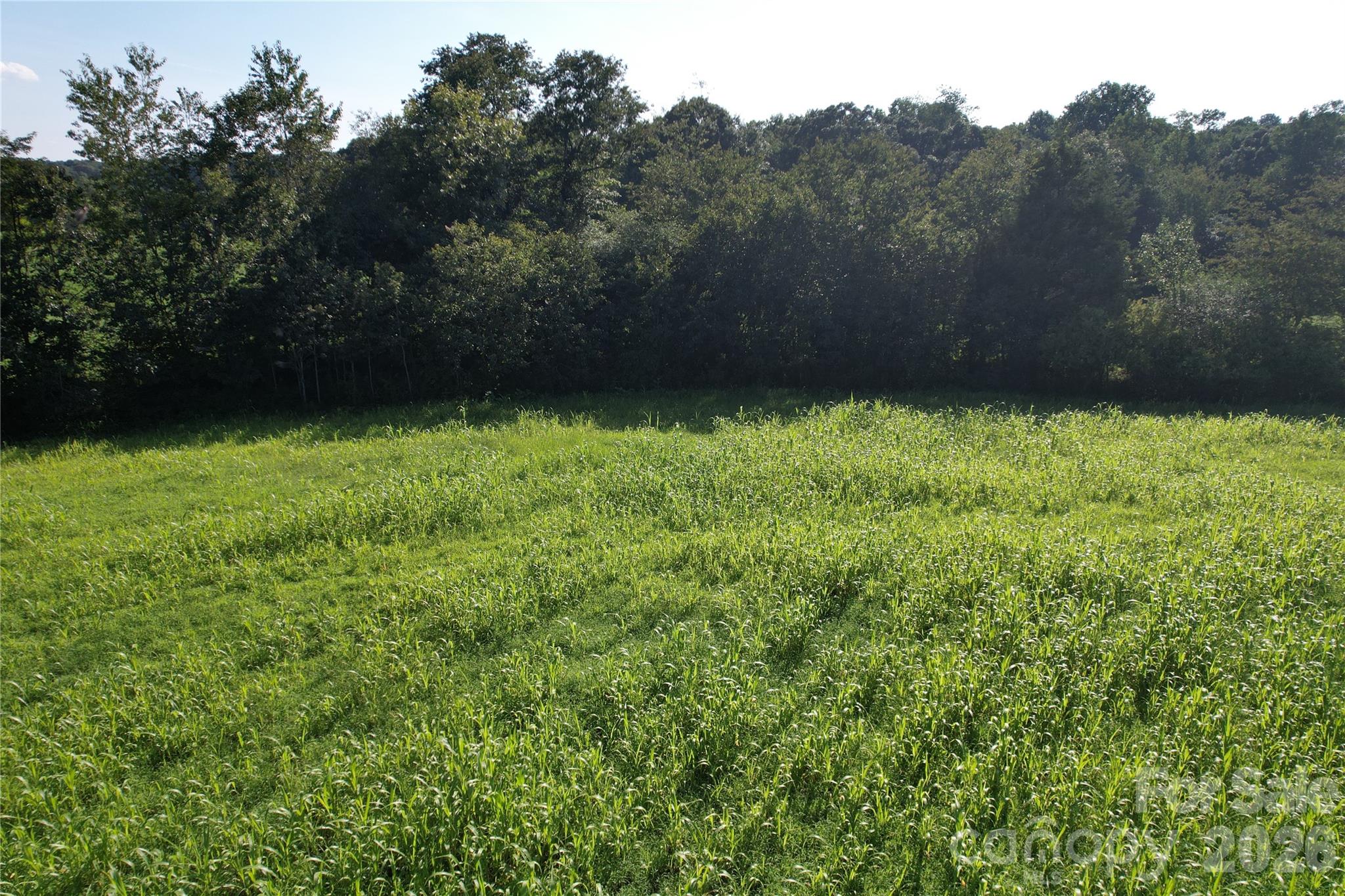 00 Crowder Ridge Road Property Photo 15