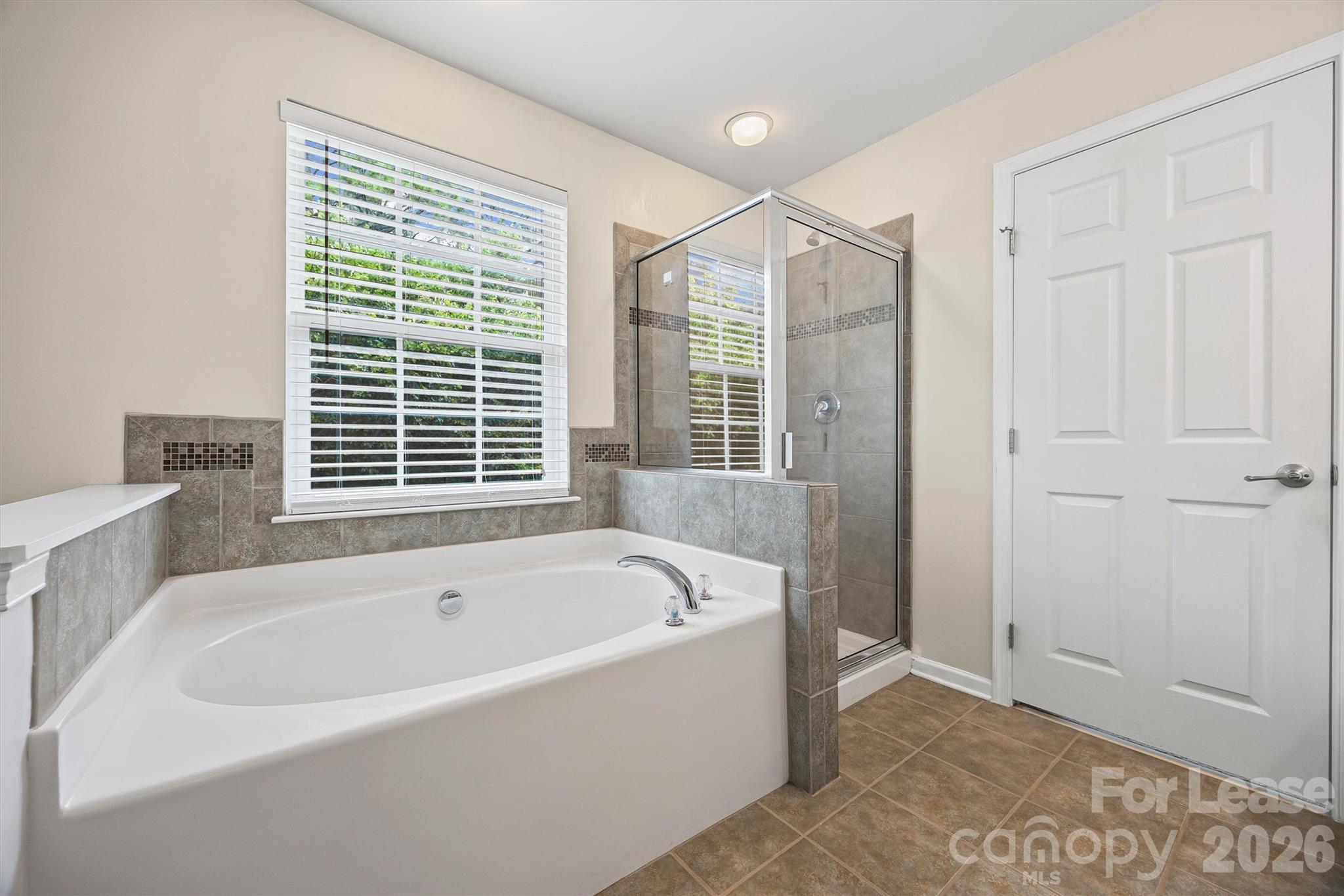 9736 Springholm Drive Property Photo 17