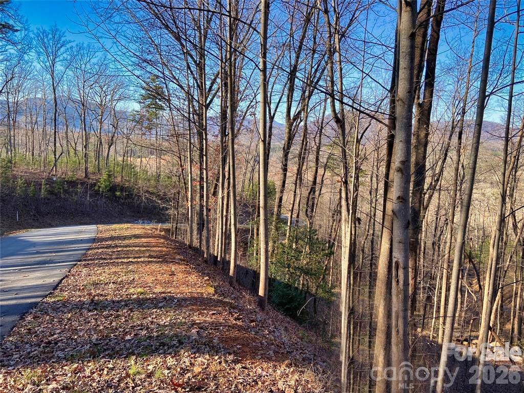 Lot 114 High Pines Loop Property Photo 1