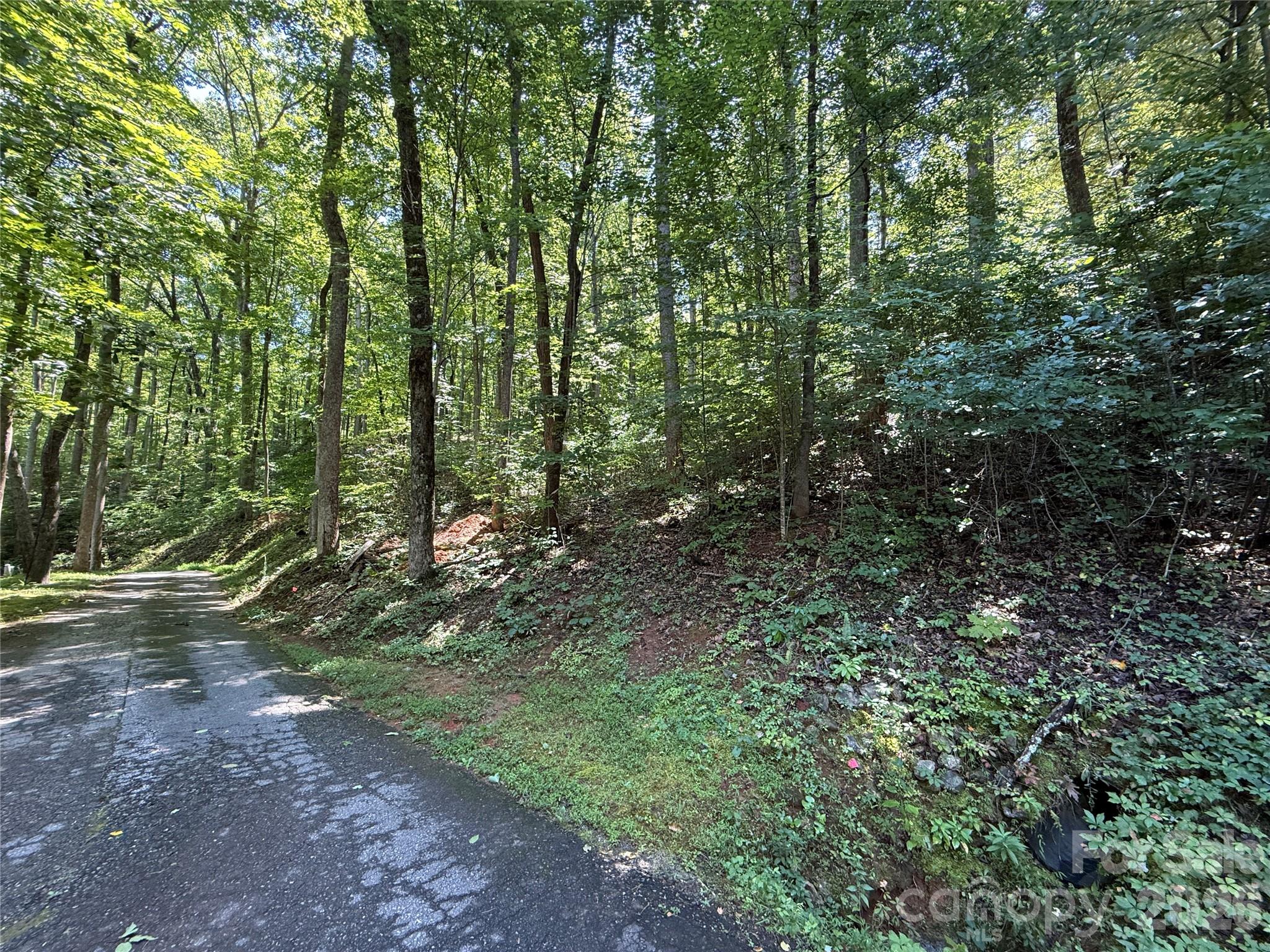 Lot 114 High Pines Loop Property Photo 7